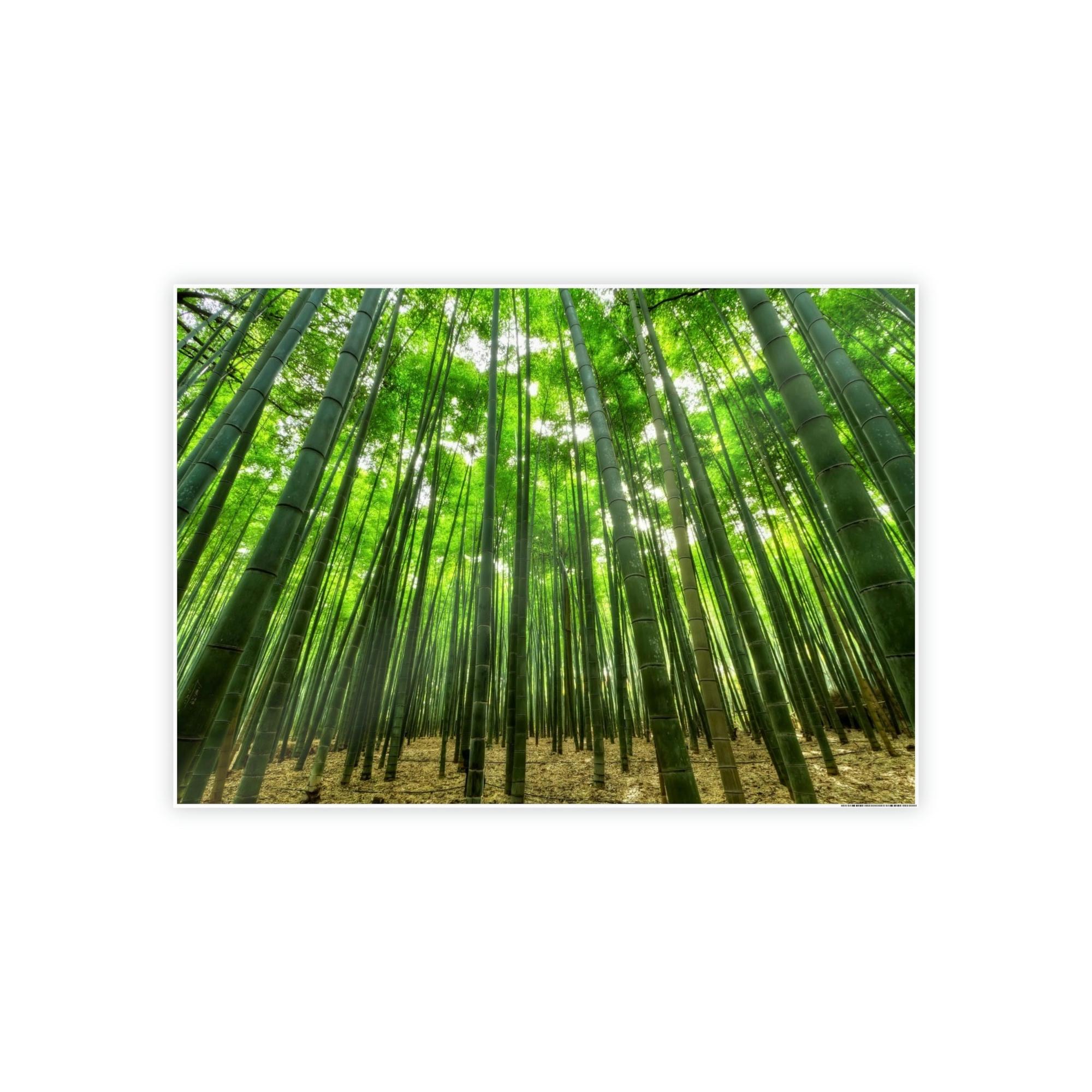 Trees Enchanted Forest: Framed Canvas Wall Art of Trees
