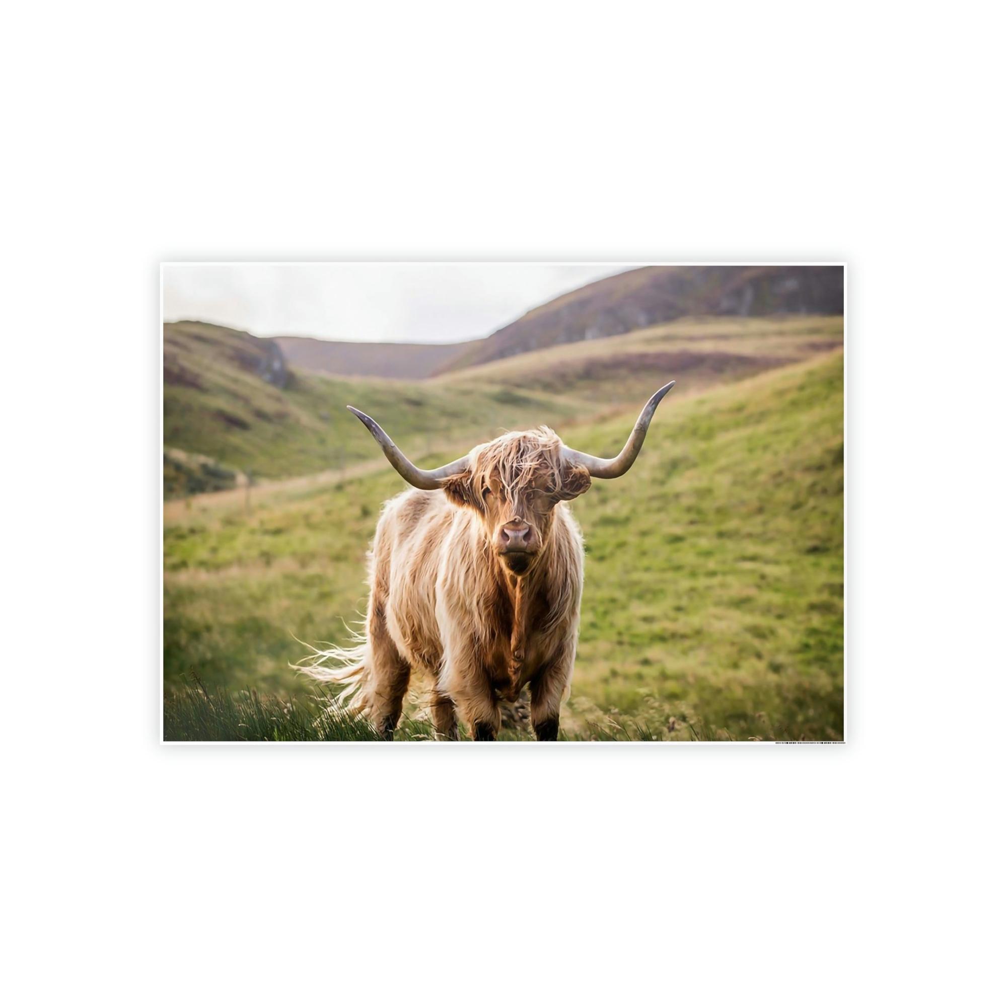 Highland Cow Highland Cow | Furry Cow on a Sunny Day | Canvas Art — Pixoram