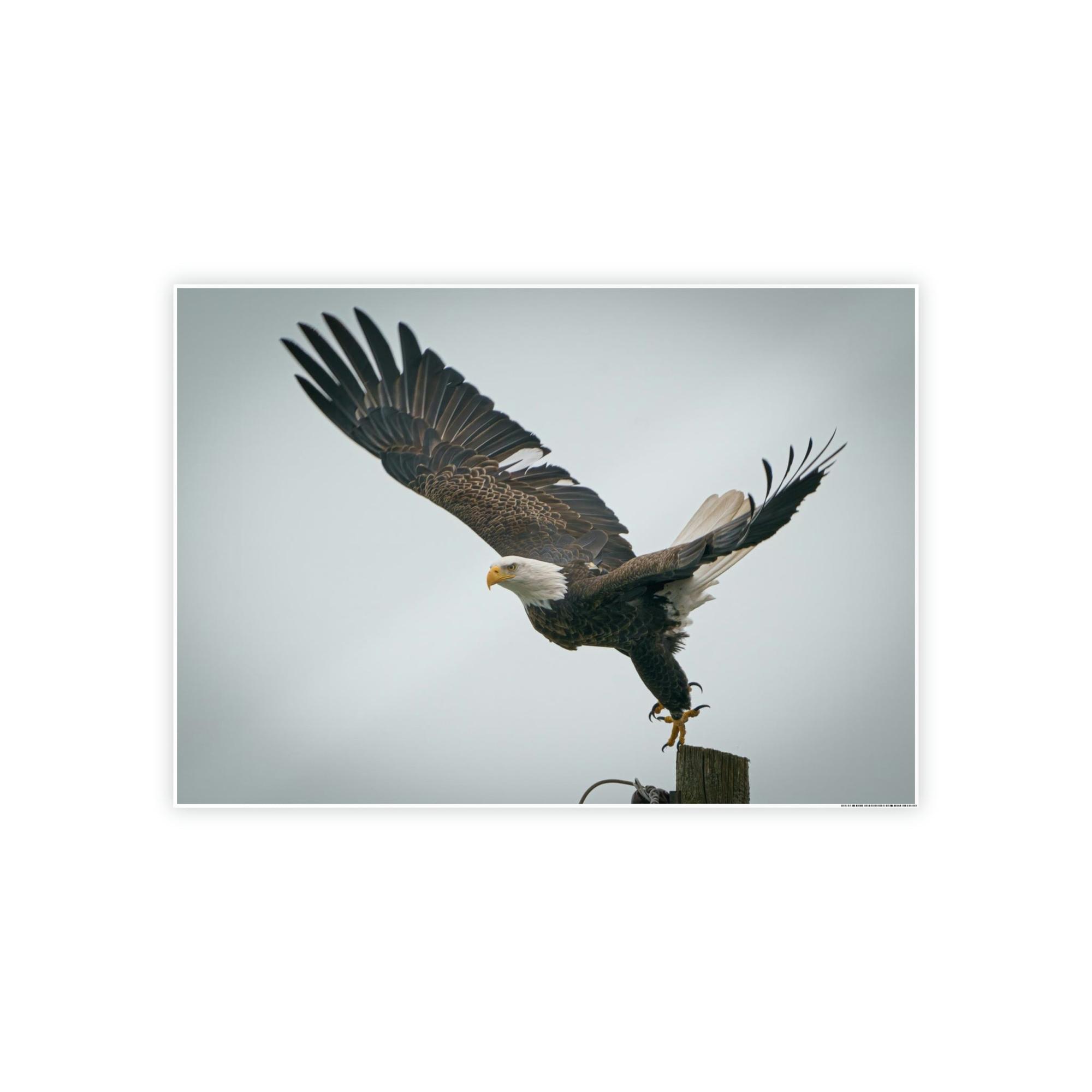 Eagles Eagle's Wings Unbound: Framed Canvas Embracing the Spirit of Freedom