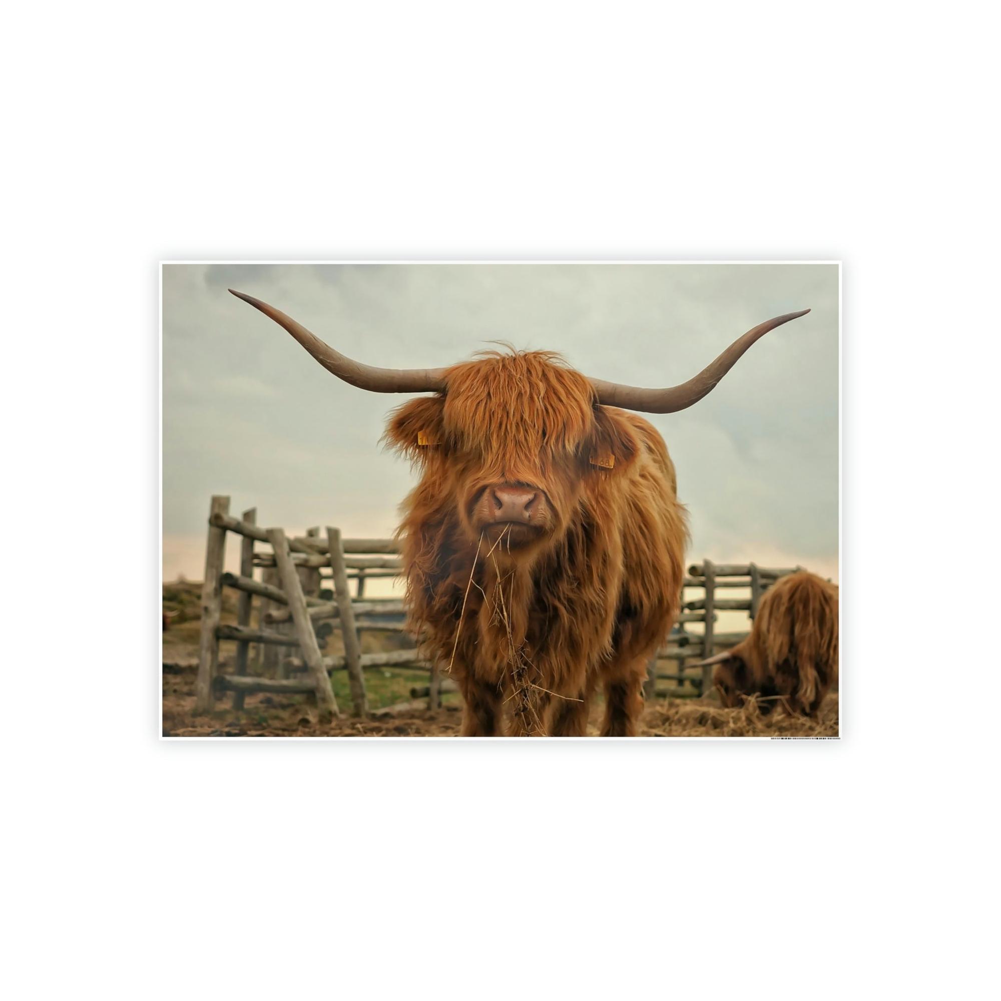 Highland Cow Highland Cow | Brown Horned Cow | Wall Art — Pixoram