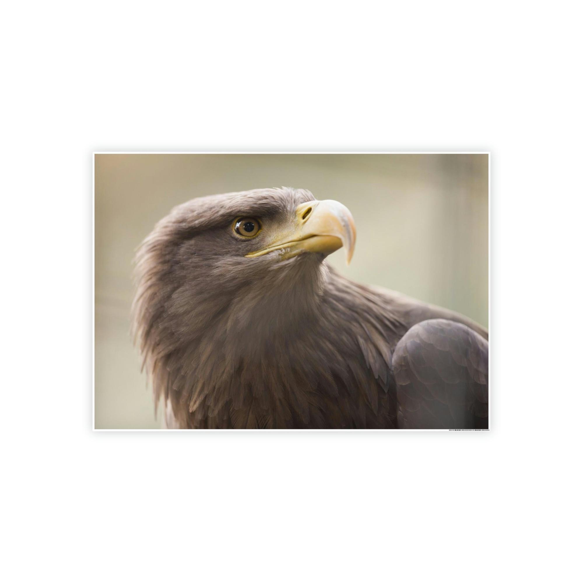 Eagles Flight of Wonder: Wall Art Enthralling with the Mystique of Eagles in Flight