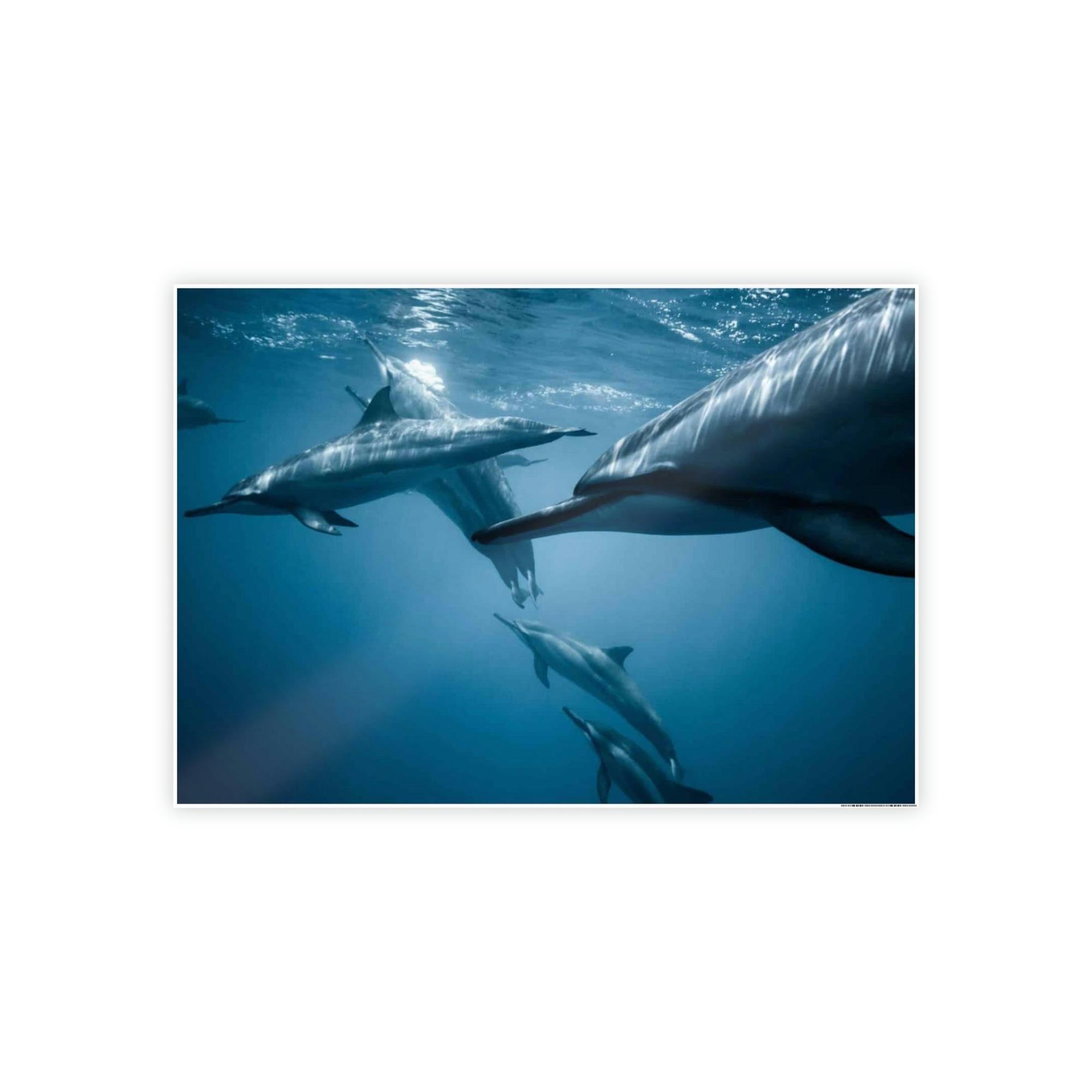 Dolphins Dolphin Delight: Canvas Print and Wall Art of Joyful Dolphins