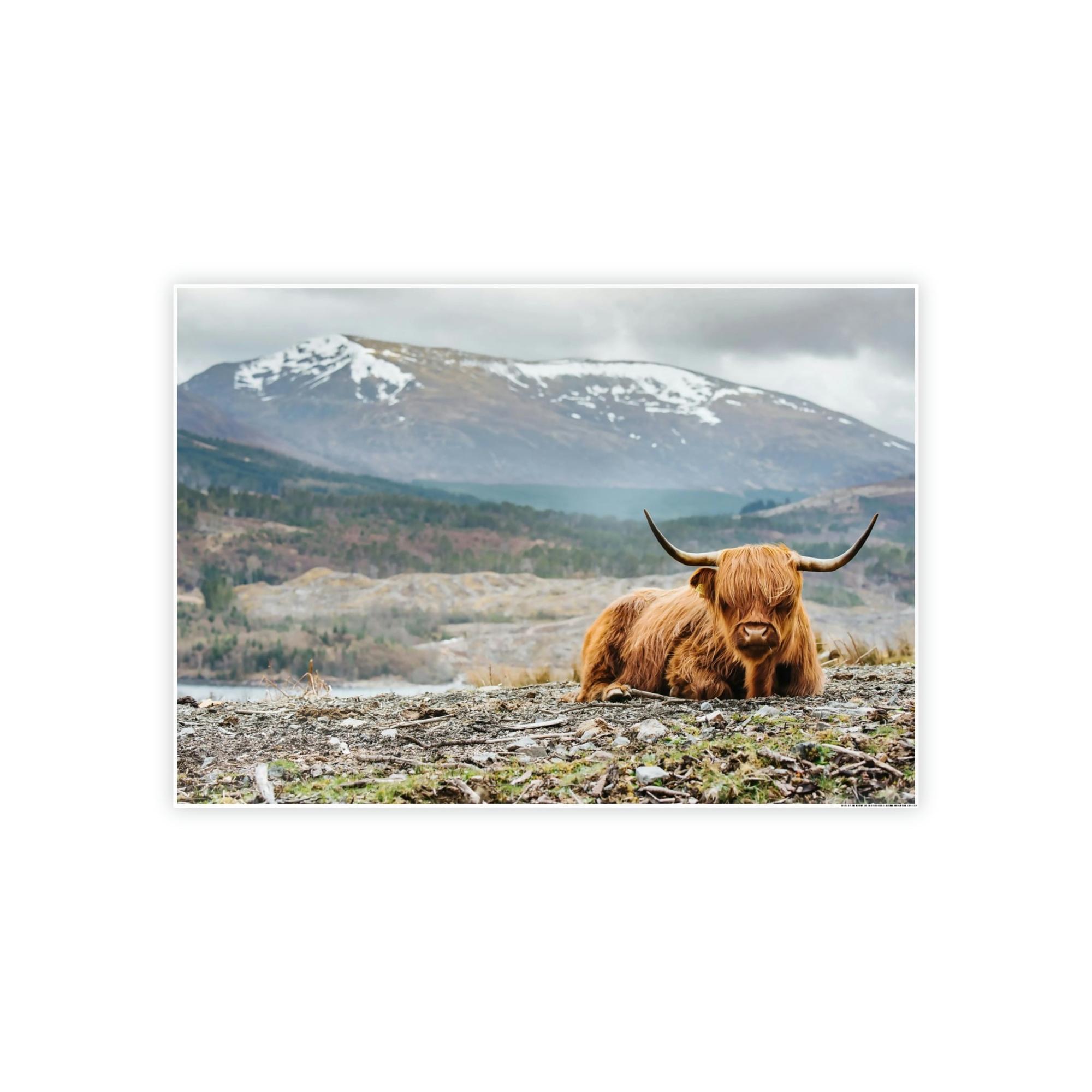 Highland Cow Highland Cow | Furry Cow in the Mountains | Art Canvas — Pixoram