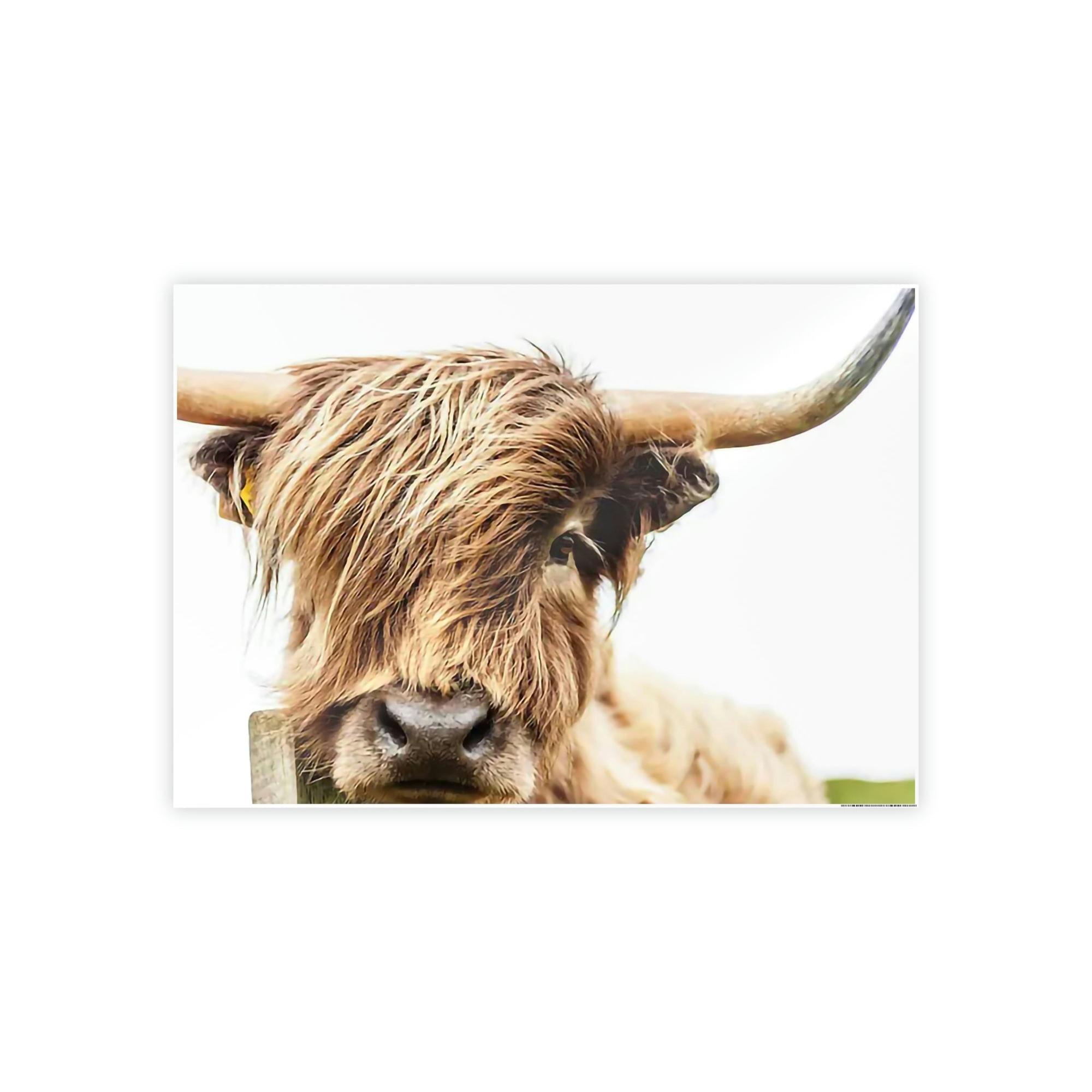 Highland Cow Highland Cow Canvas Wall Art | Mellow Highland Cow | Canvas Art — Pixoram
