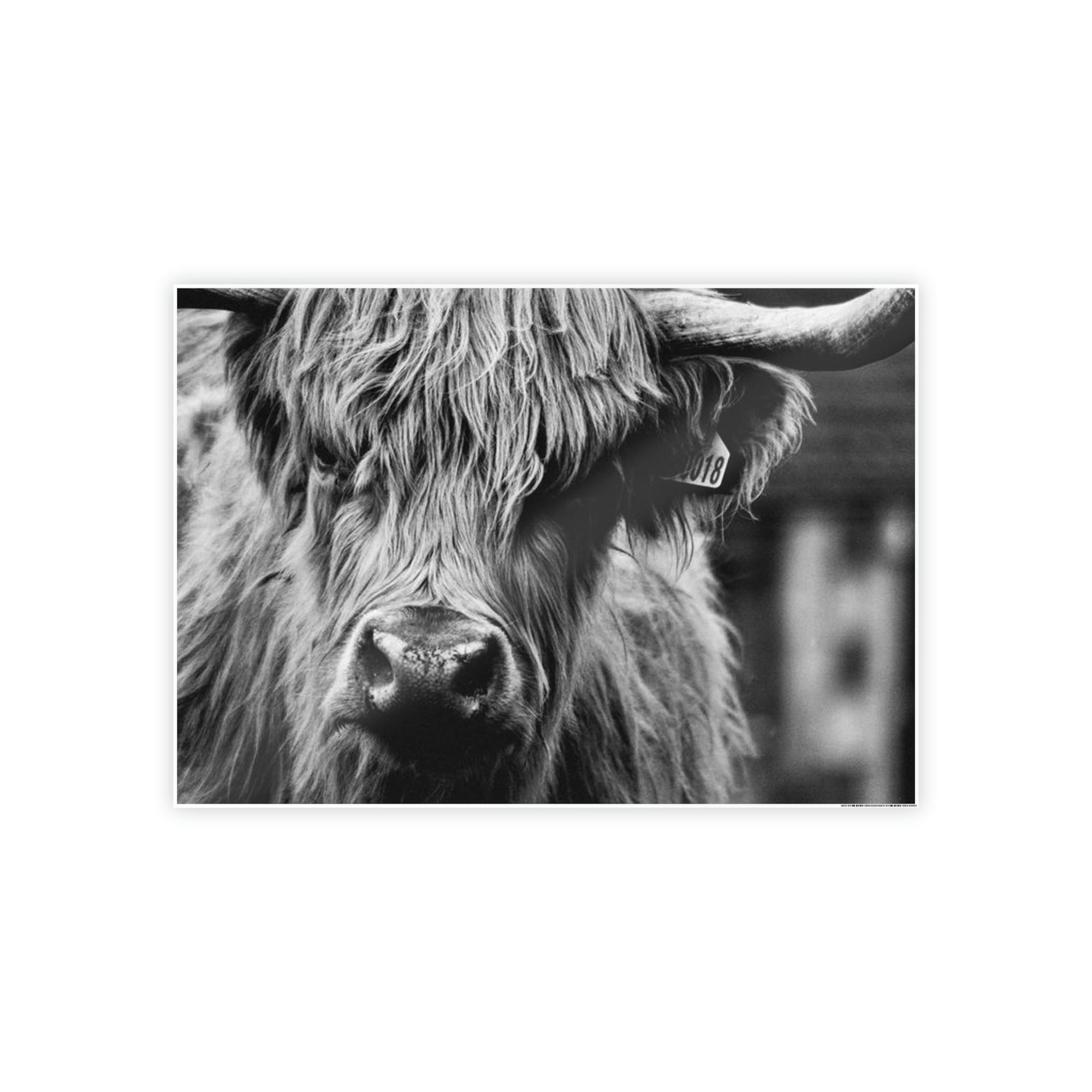 Highland Cow Rustic Highland Cow: Vintage Wall Art