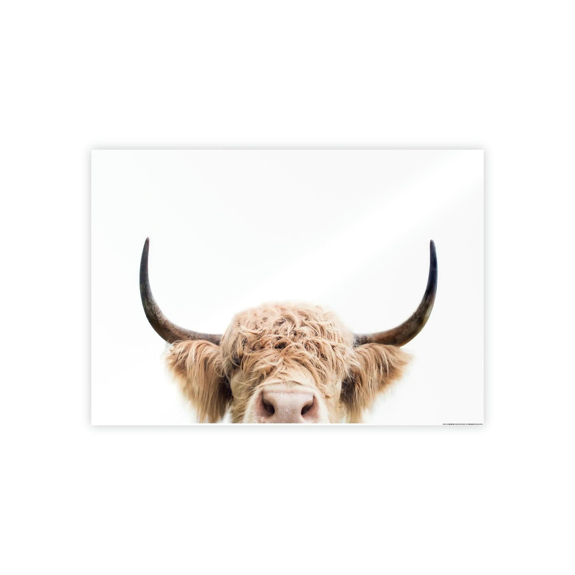 Highland Cow Highland Cow | Wooly Cow on Canvas | Wall Art — Pixoram