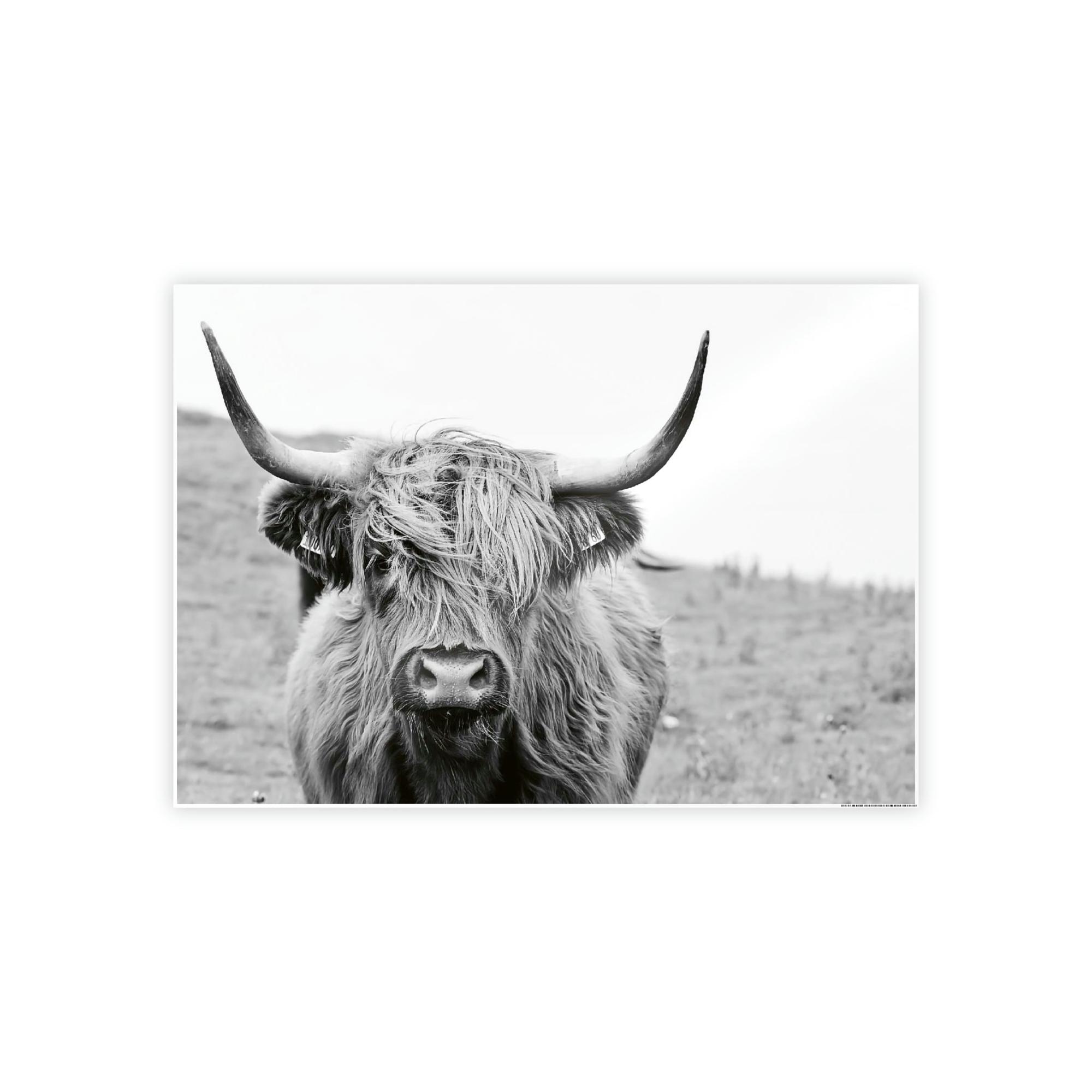 Highland Cow Highland Cow Wall Art | Black-White Colors | Canvas Art — Pixoram