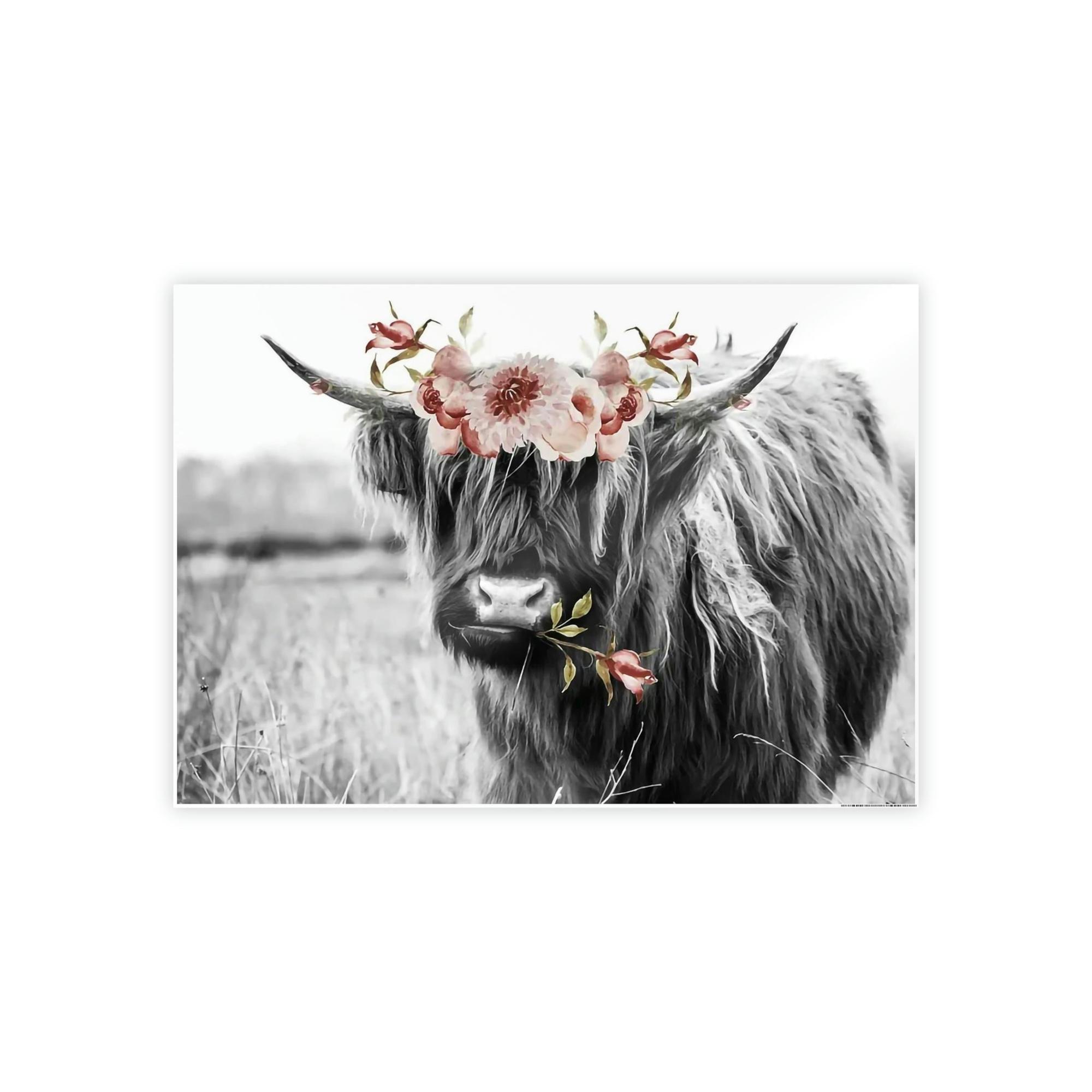 Highland Cow Highland Cow | Black-White Picture of Cow with Pink Flowers in the Mouth | Art Canvas — Pixoram