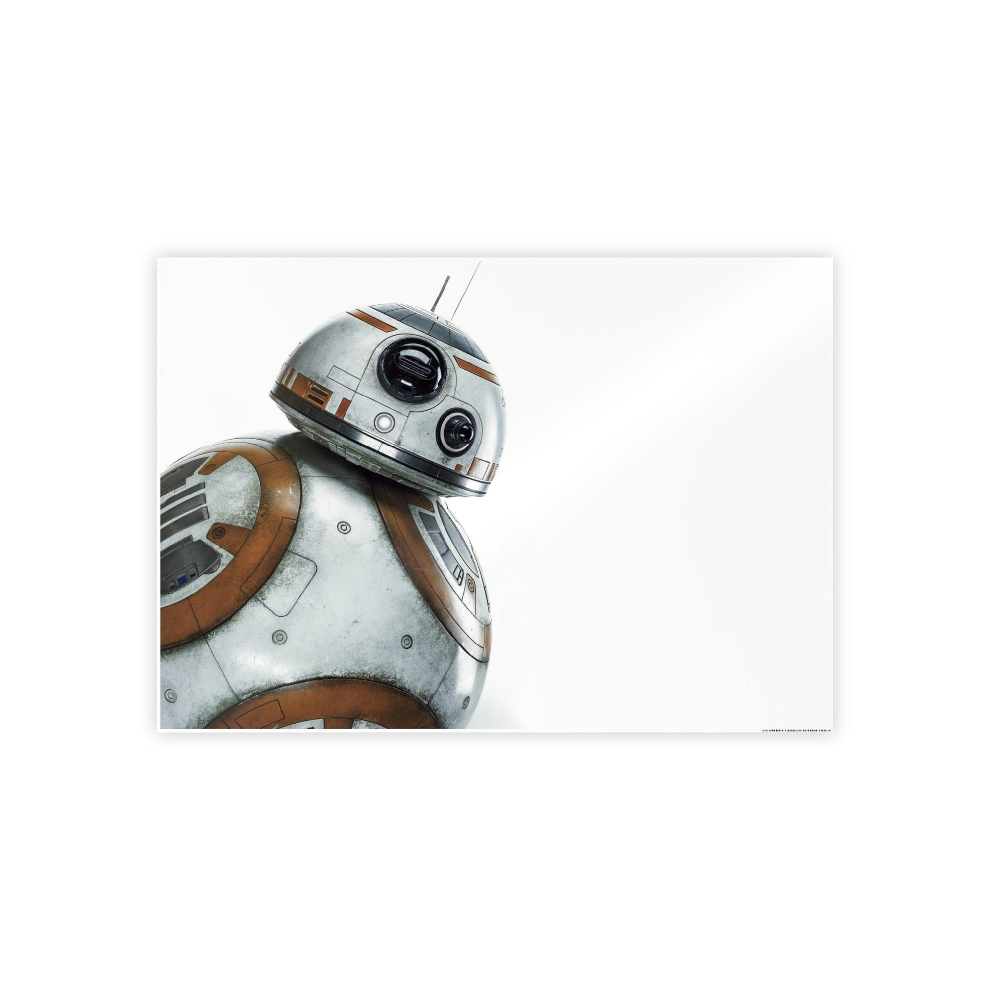 Star Wars Droid of Destiny: Framed Poster Print on Canvas Featuring the Star Wars Robot