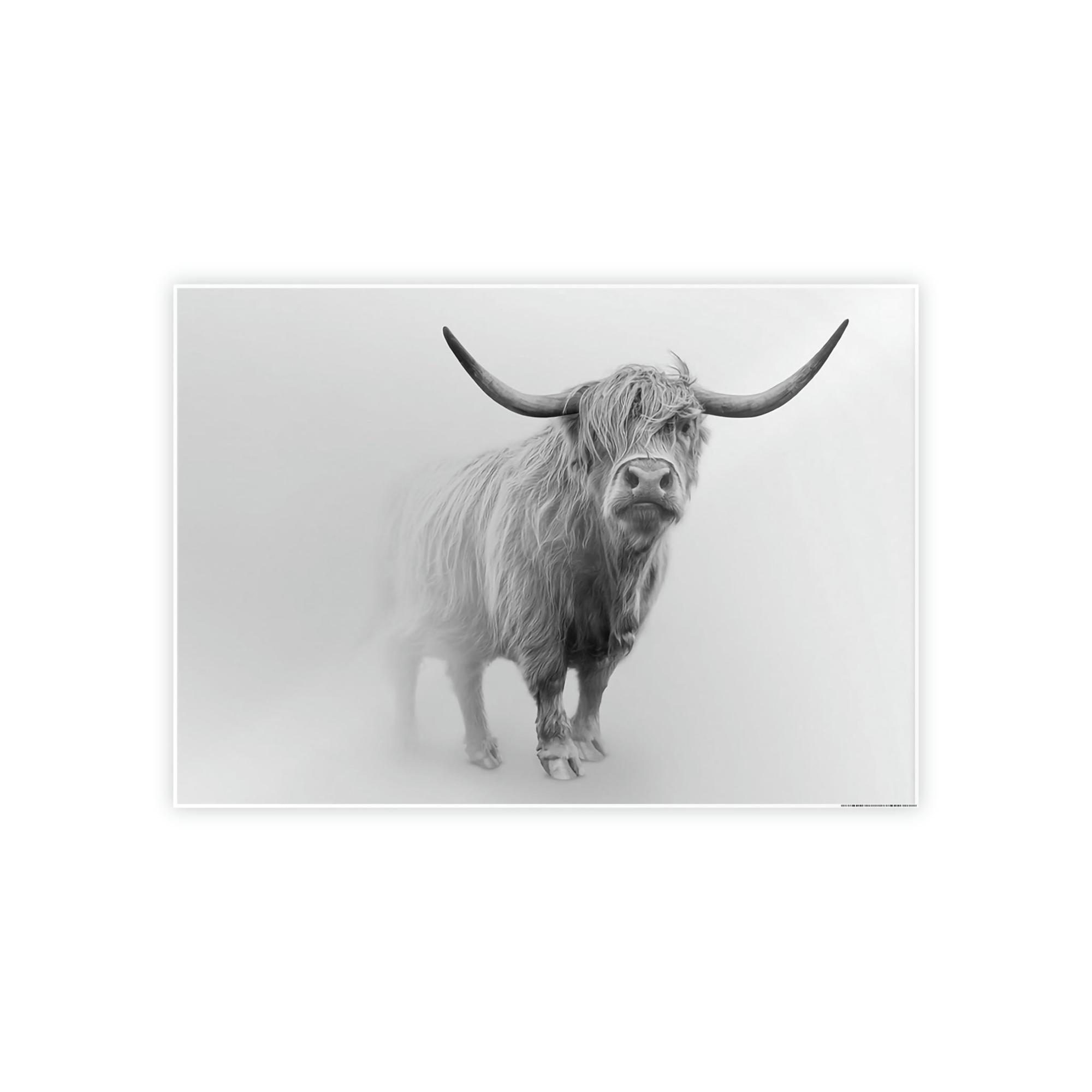 Highland Cow Scottish Cattle | Wall Art — Pixoram