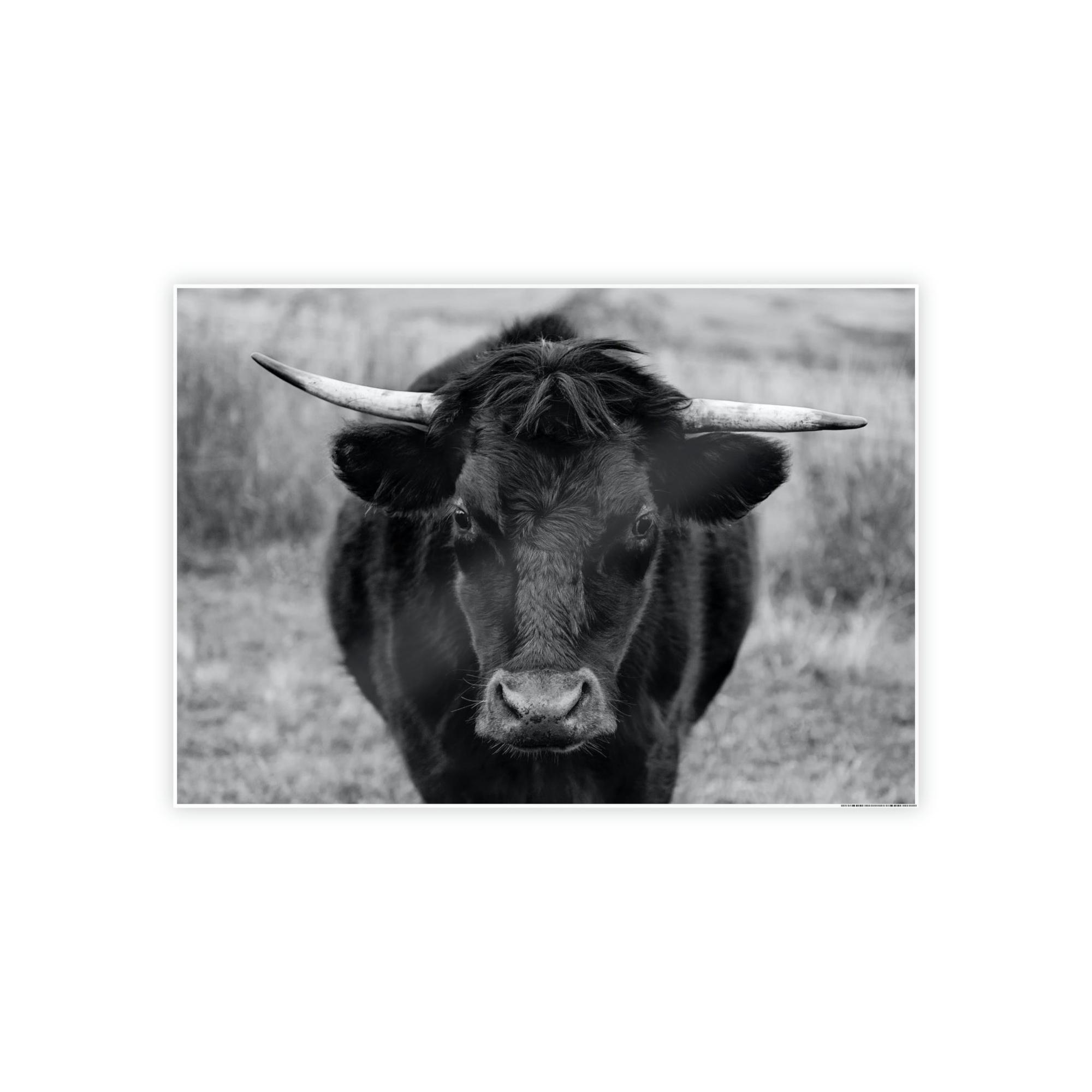 Highland Cow Highland Cattle Retriever - Printed Canvas - Wall Art - Cattle Wall Art | Animals Art