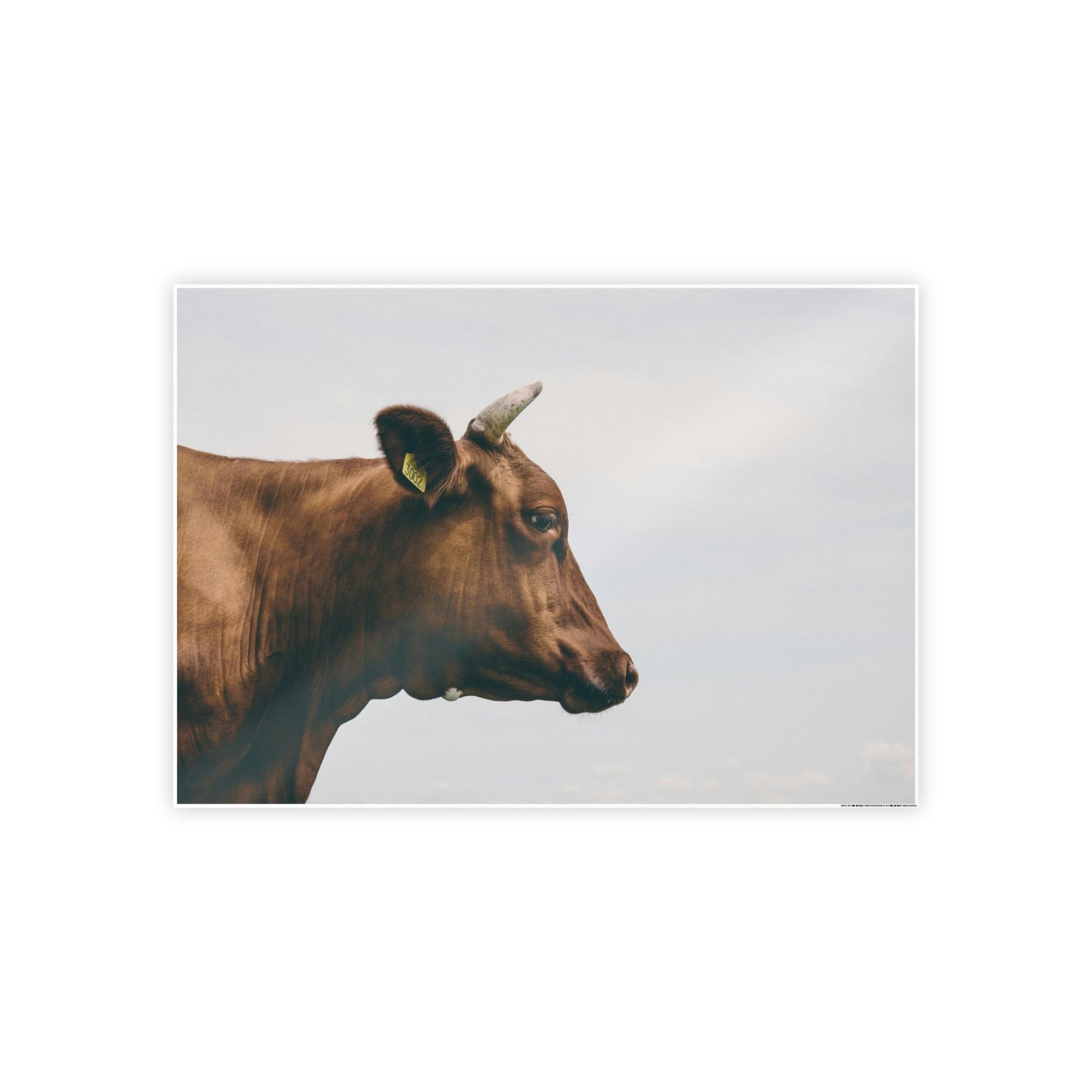 Highland Cow Scotch Highland Cattle - Wall Art | Animals Art