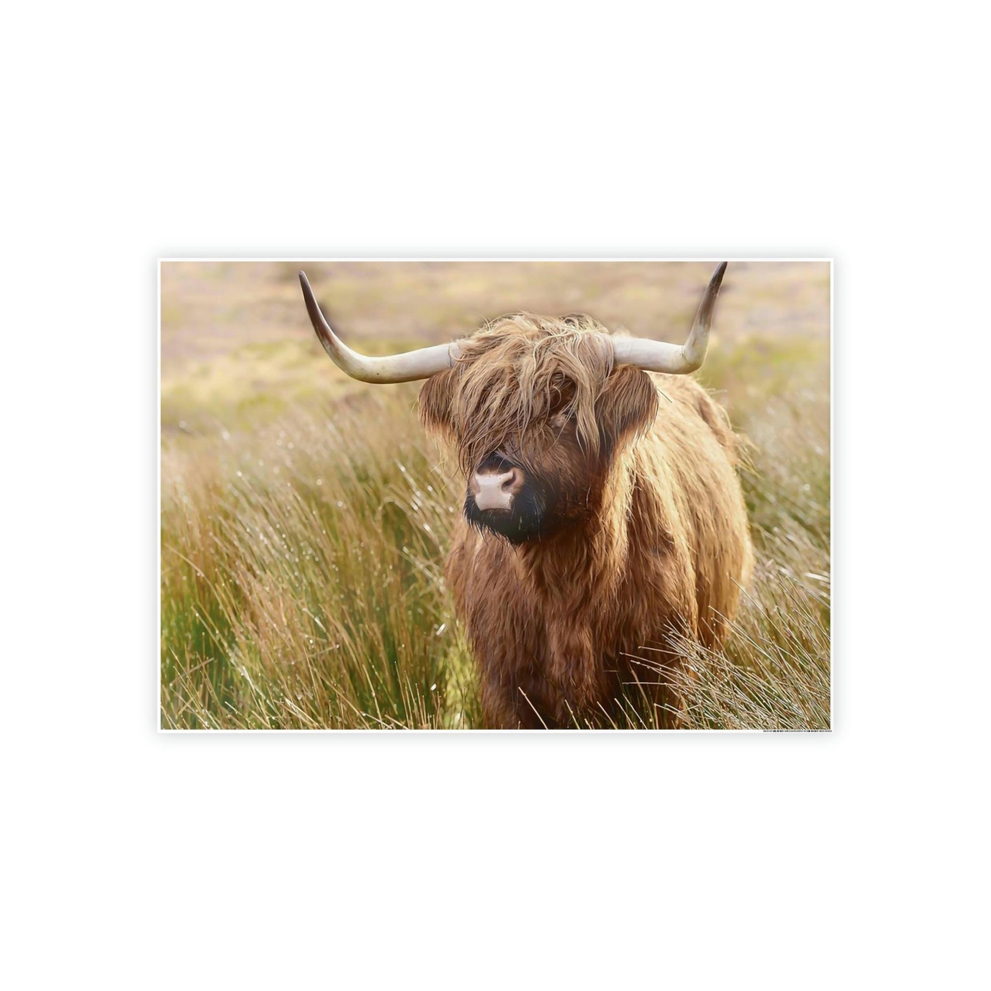 Highland Cow Highland Cow | Cow in the Morning Dew | Wall Art — Pixoram