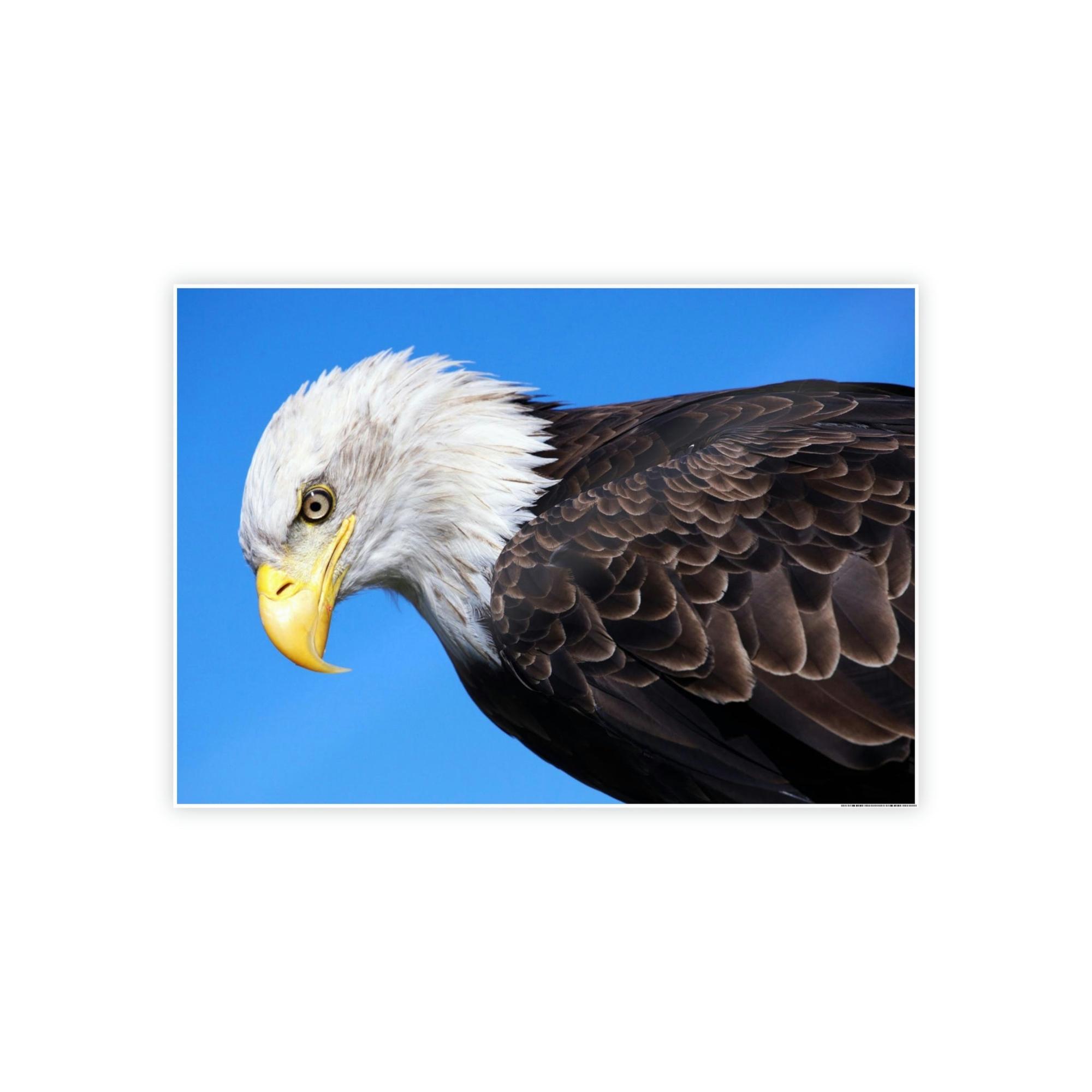 Eagles Eagle's Enchantment: Artistic Canvas Print Conjuring the Magic of their Presence