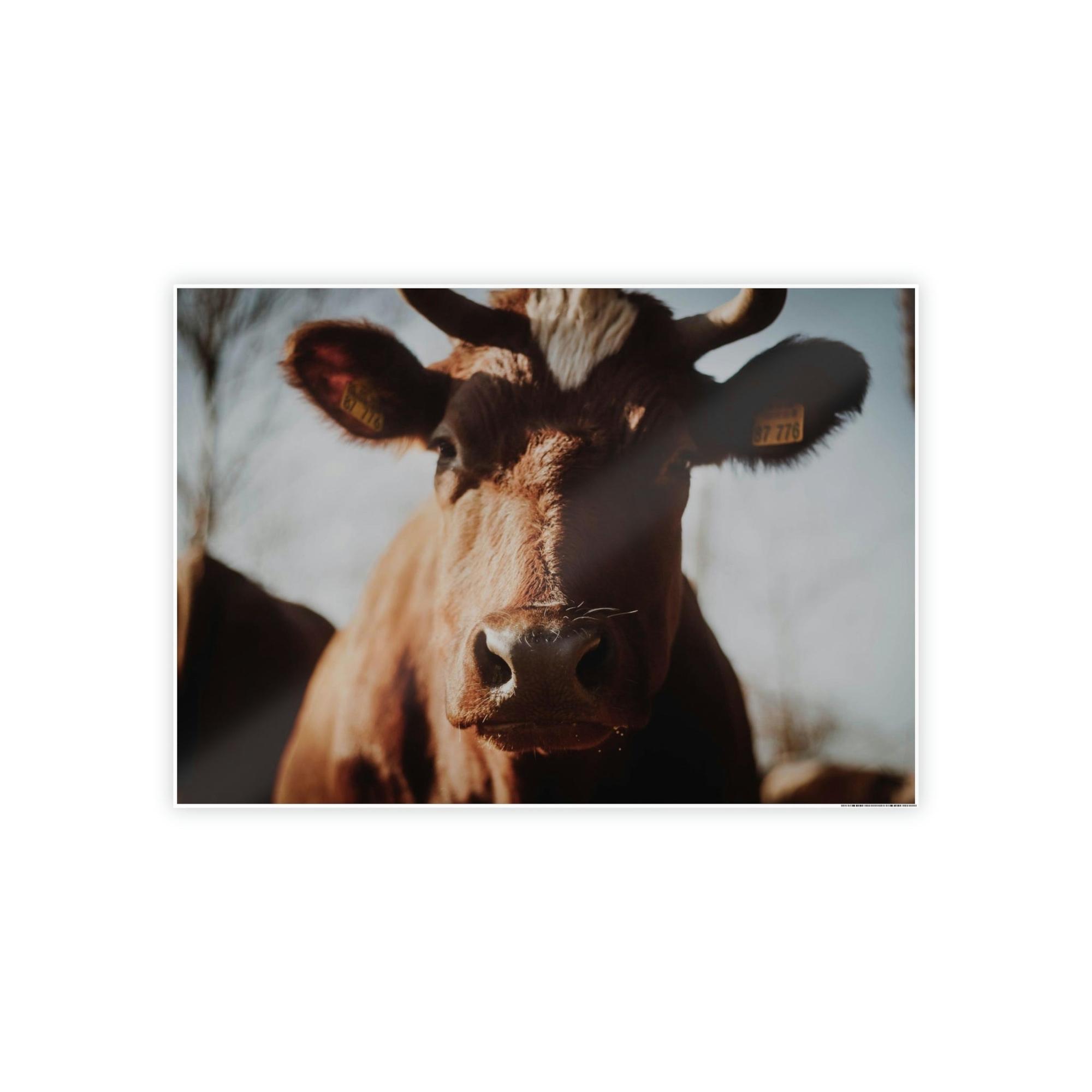 Cows Cow Dreams: Poster & Canvas Print and Wall Art of Whimsical Cow