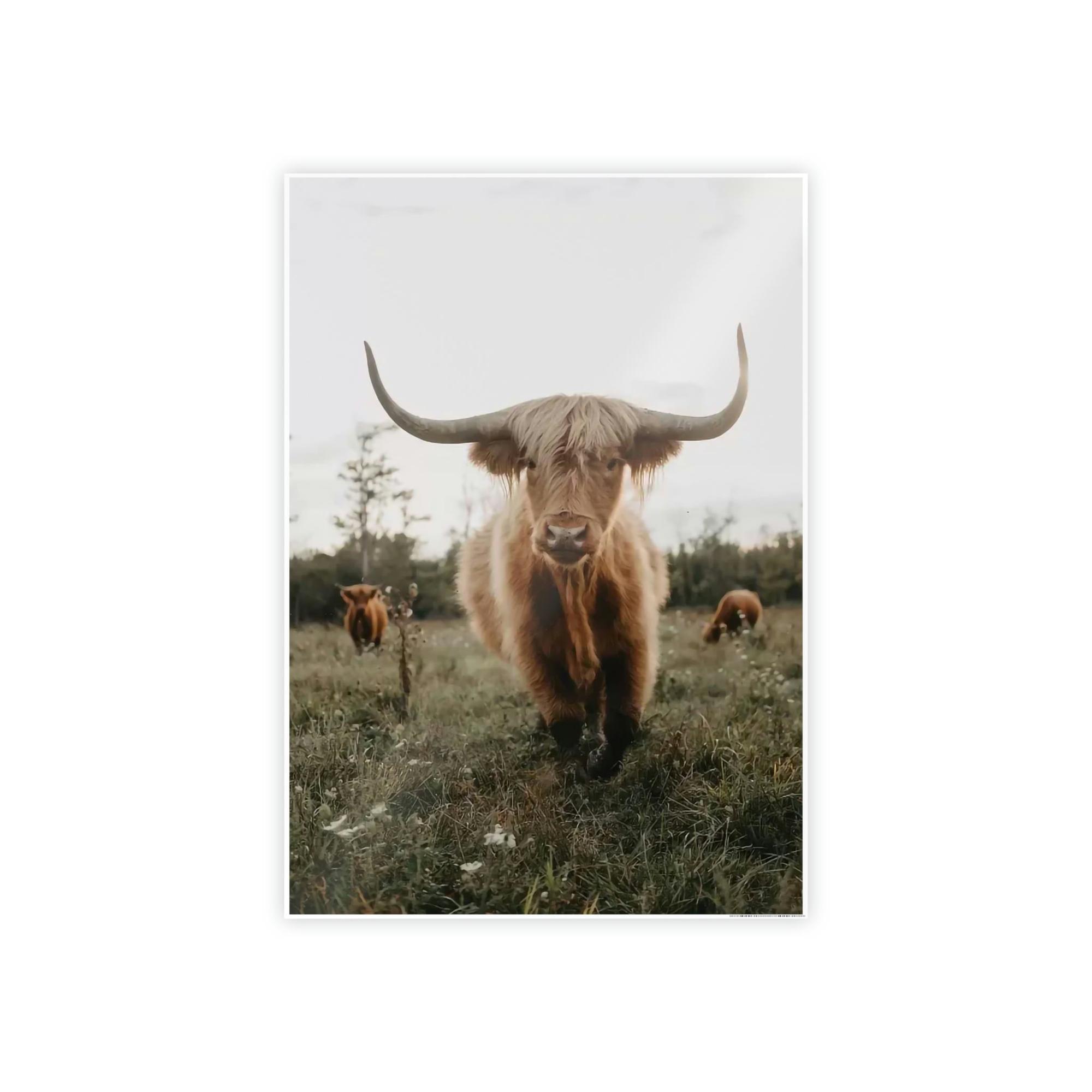 Highland Cow Highland Cow | Grazing Animals | Cows art — Pixoram