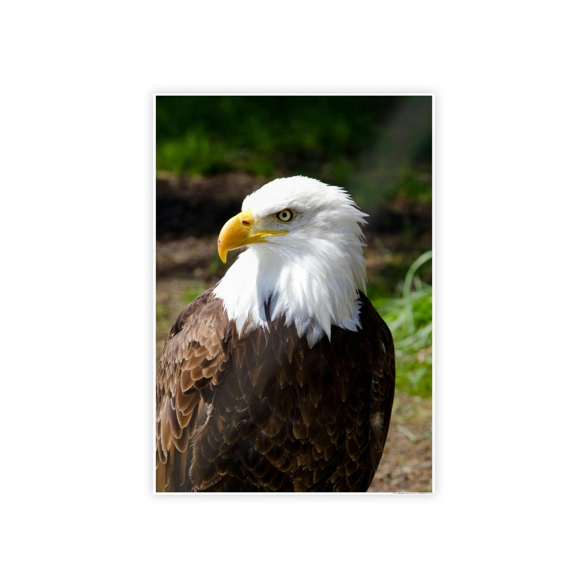 Eagles Eagles in the Wild: Canvas Wall Art Celebrating these Noble Creatures