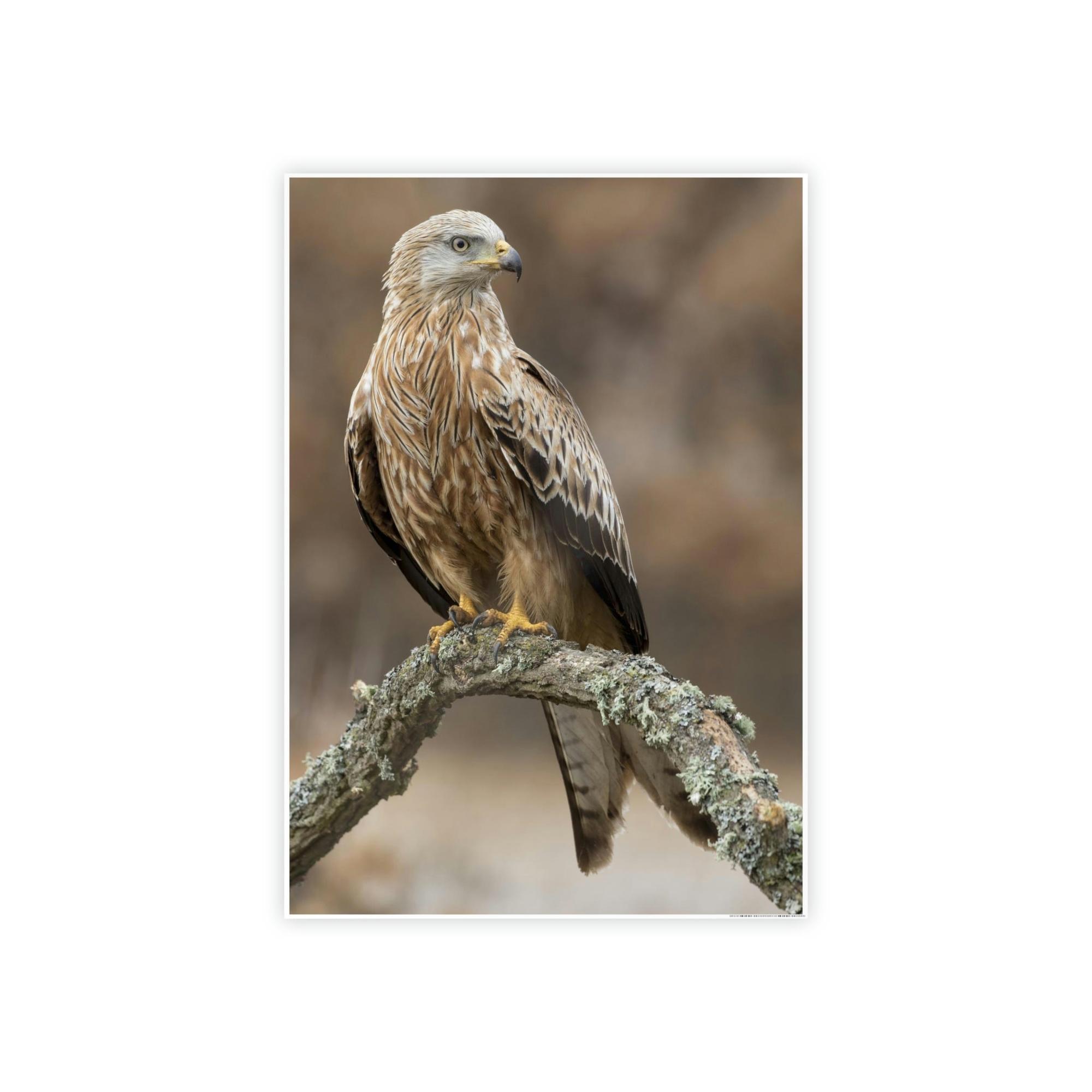 Eagles Wings of Majesty: Poster & Canvas Celebrating the Power of Eagles
