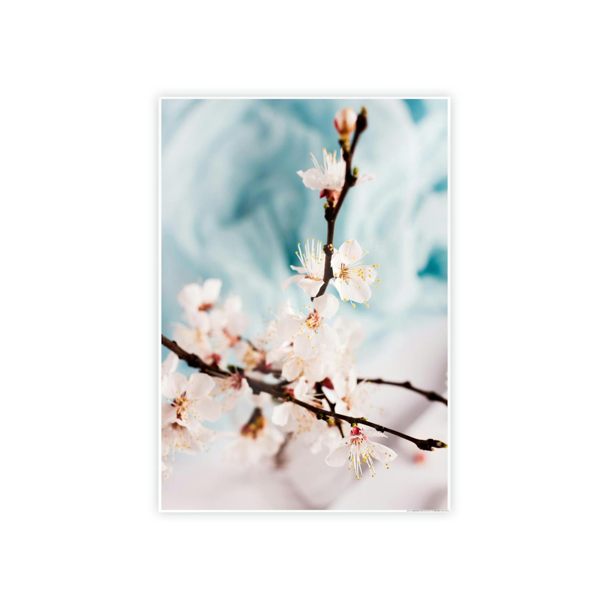Cherry Blossoms Fragile Elegance: Cherry Blossoms on Artistic Print