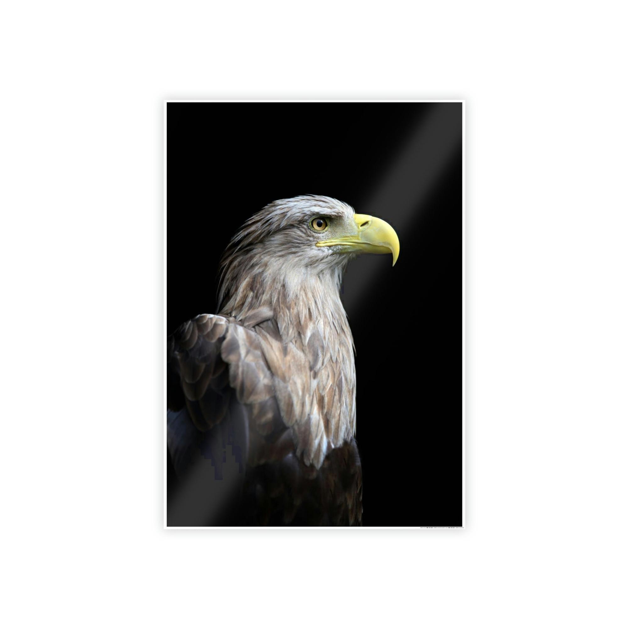 Eagles Eagle's Resilience: Inspiring Canvas Print, Showcasing their Indomitable Spirit