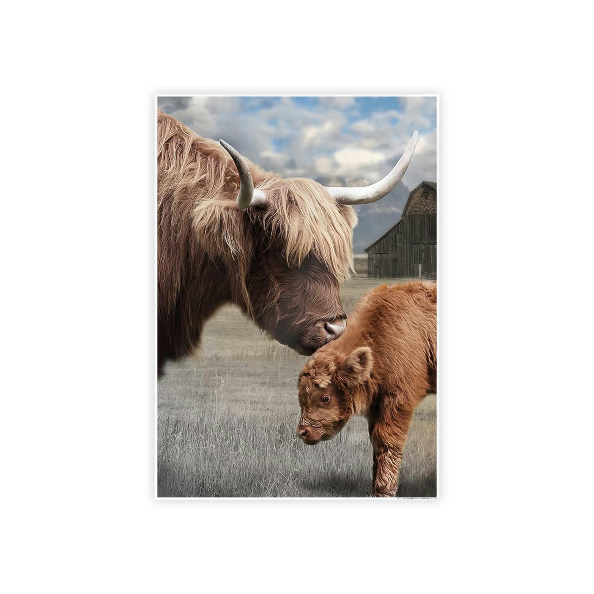 Highland Cow Highland Cow | Shaggy Cows Art — Pixoram