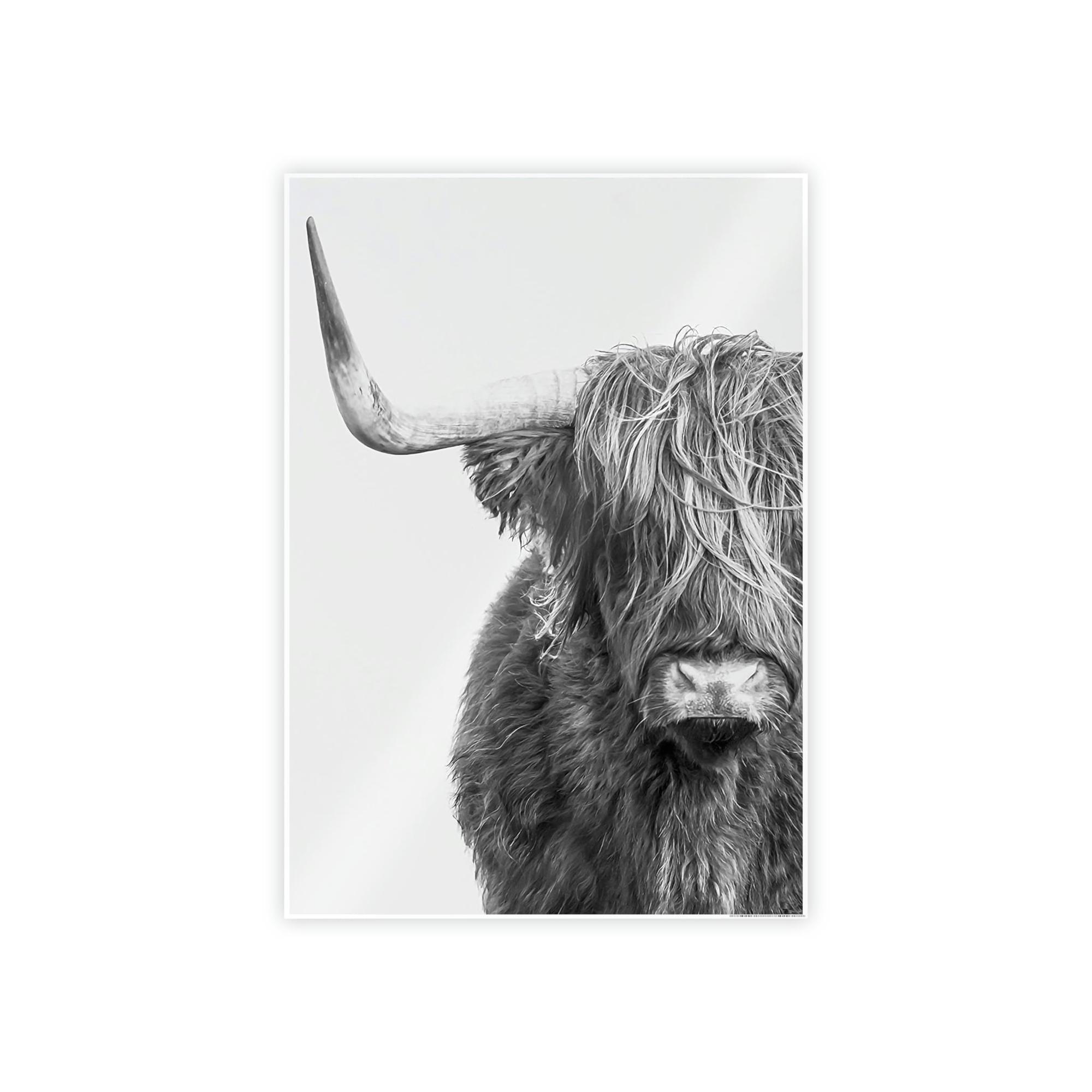 Highland Cow Highland Cow | Black & White Art | Animal Art — Pixoram