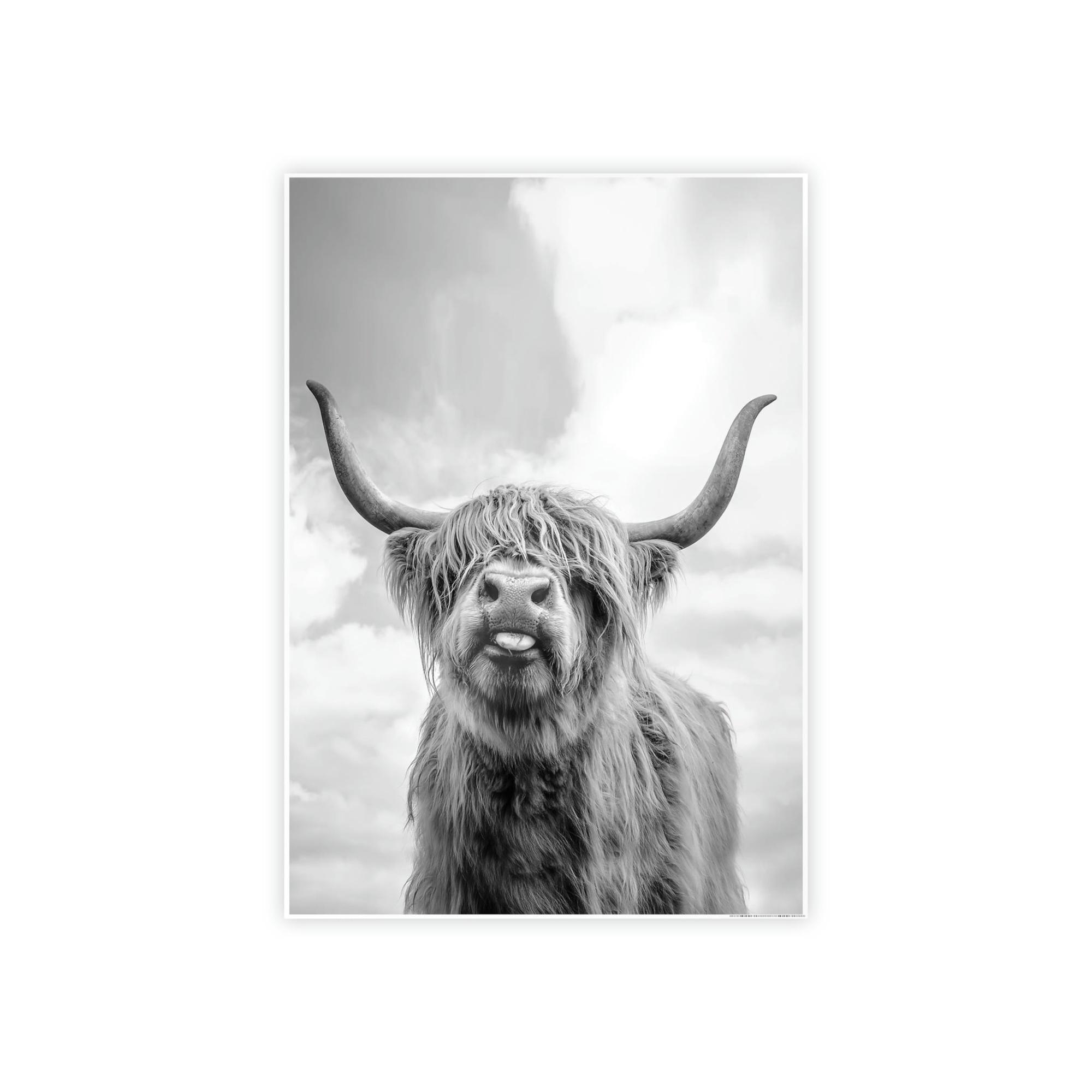Highland Cow Highland Cow | Wooly Cattle | Black-White Art — Pixoram
