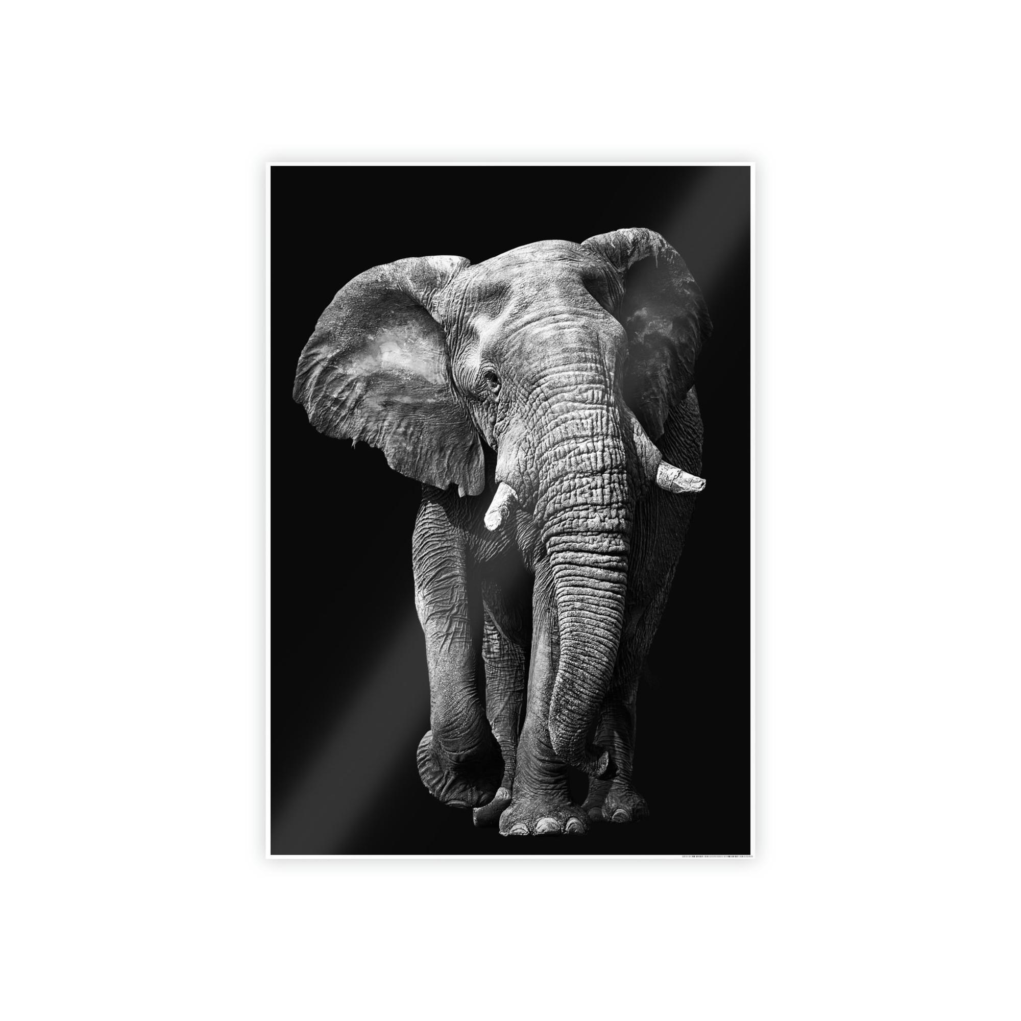 Elephant Wild and Free: A Stunning Elephant Print on Natural Canvas