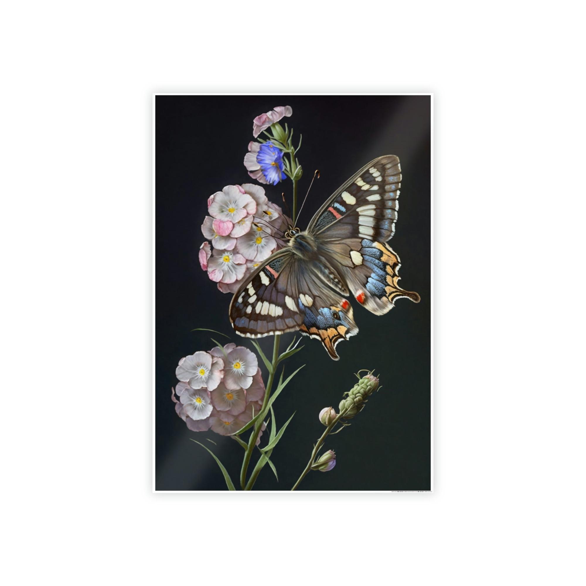 Butterflys One Butterfly: Framed Canvas & Poster Print Capturing the Beauty of a Single Insect
