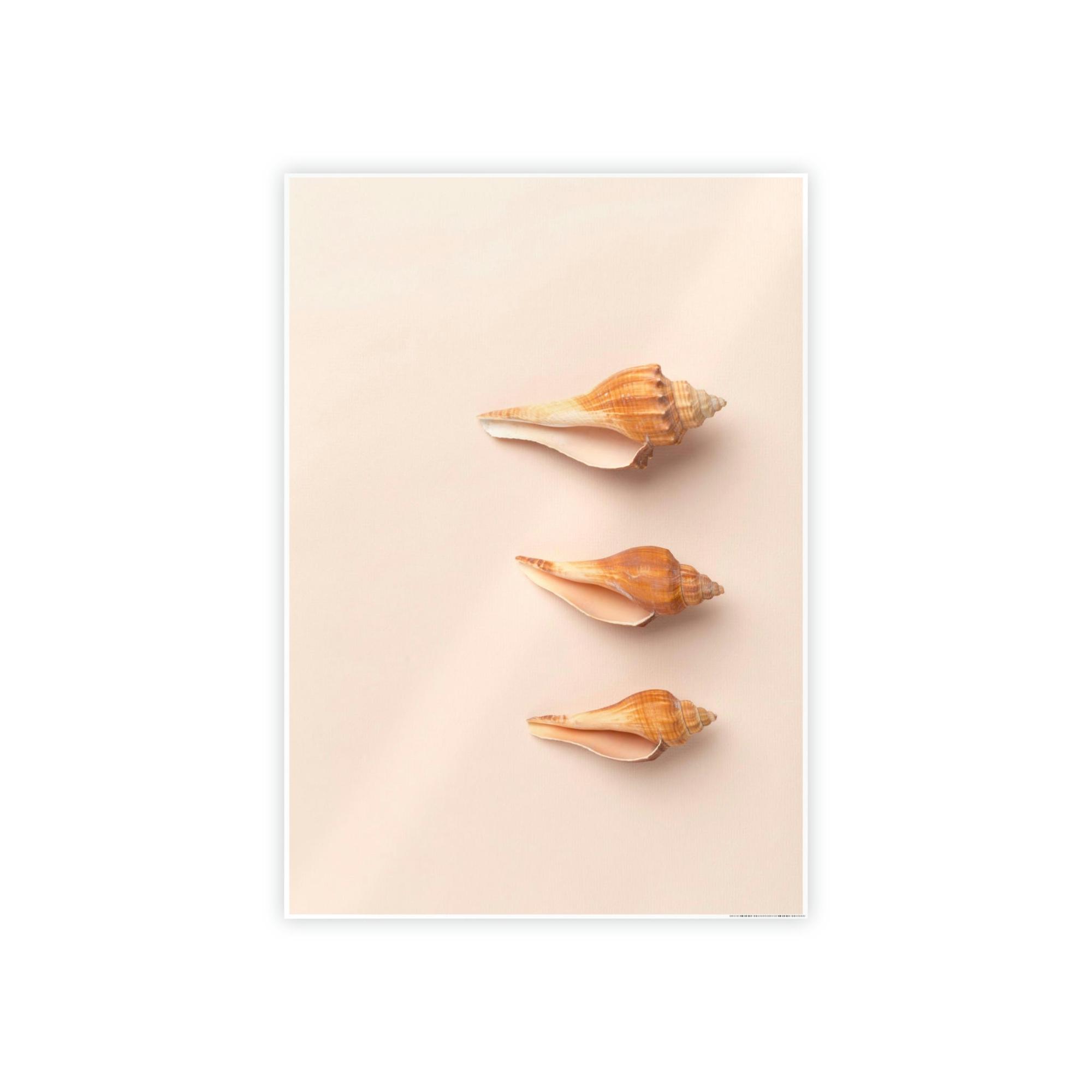 Shells Shimmering Shells: Striking Shell Art on Natural Canvas & Poster