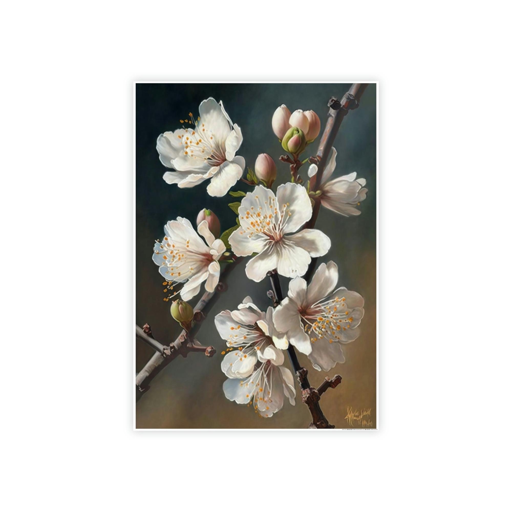 Almond Blossoms The Promise of Spring: Poster & Canvas Print of Blooming Almond Trees