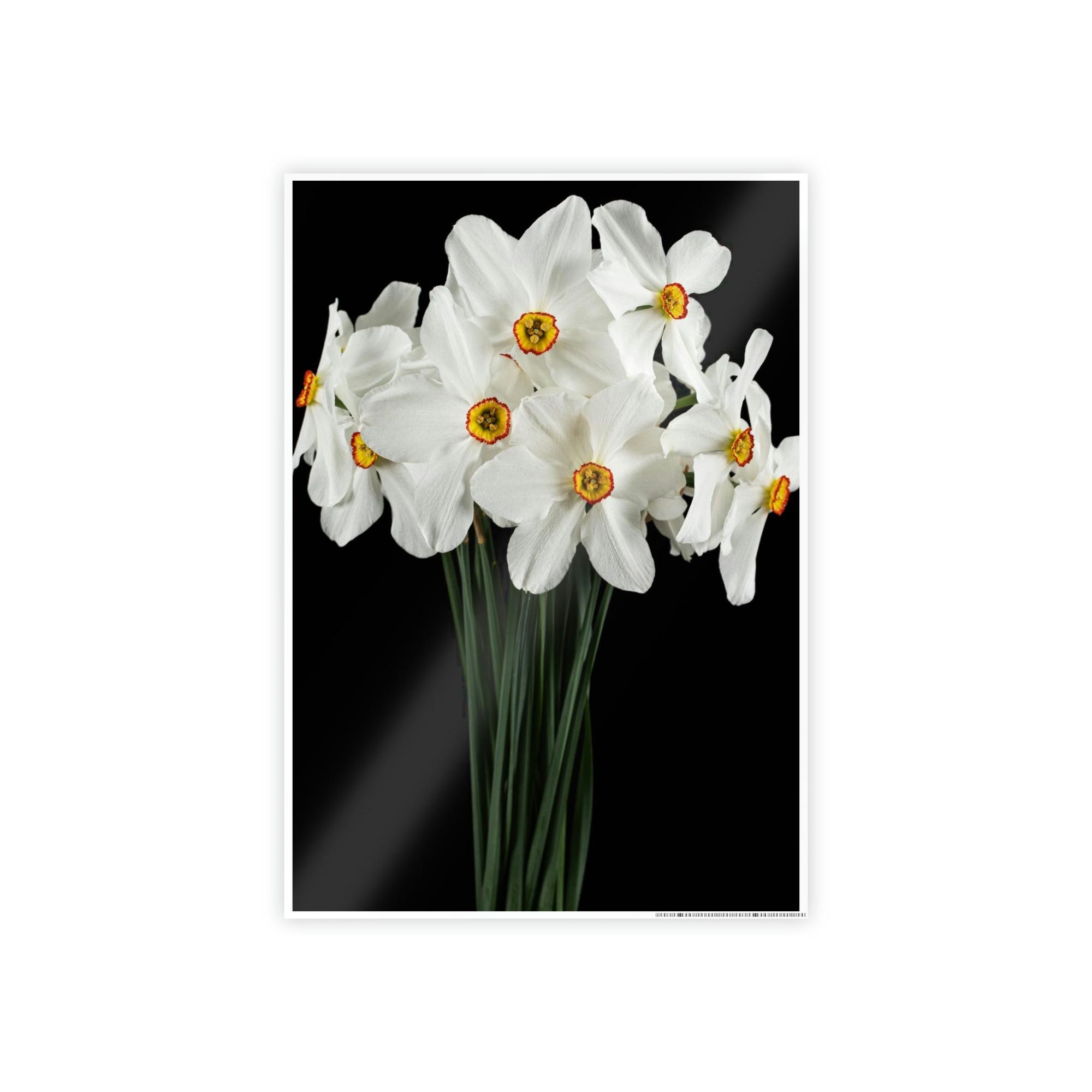 Daffodils Daffodil Euphoria: A Blissful Awakening