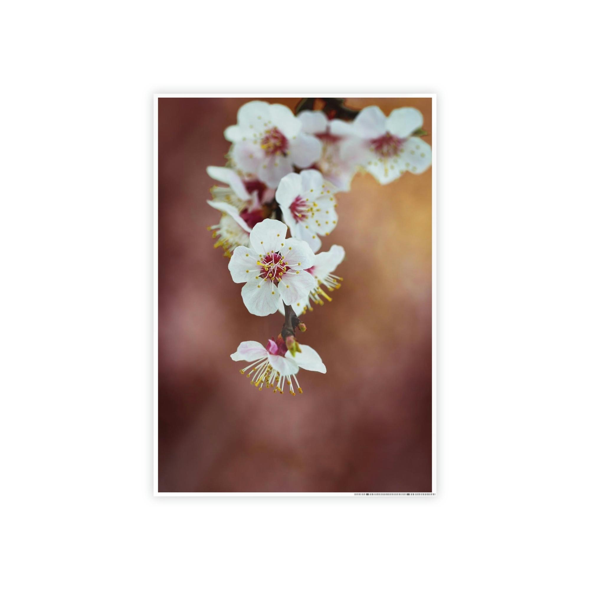 Almond Blossoms Almond Blossoms in Bloom: Framed Canvas & Poster Wall Art