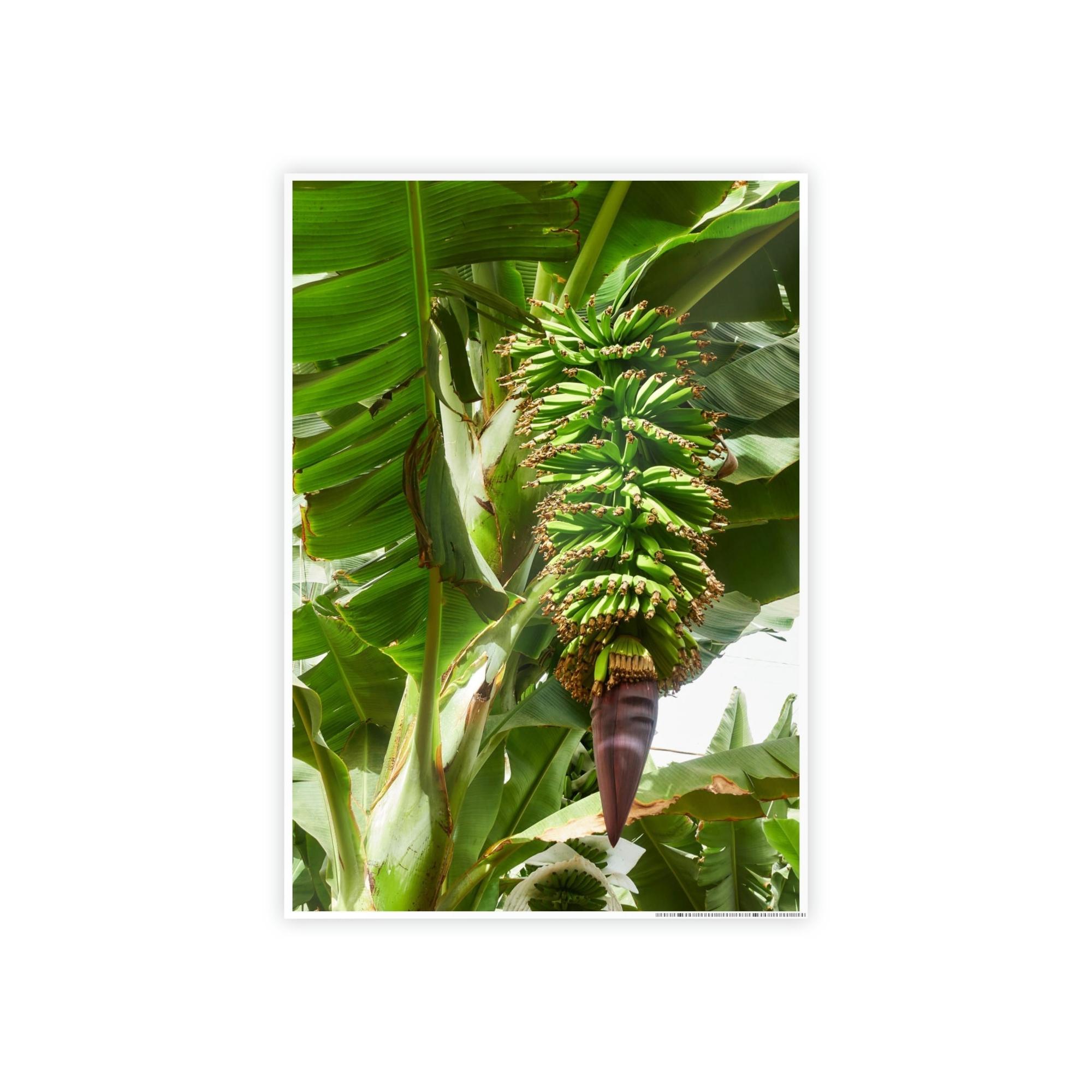 Banana Trees Tropics Calling: Canvas Art with Vibrant Banana Trees in a Jungle Setting