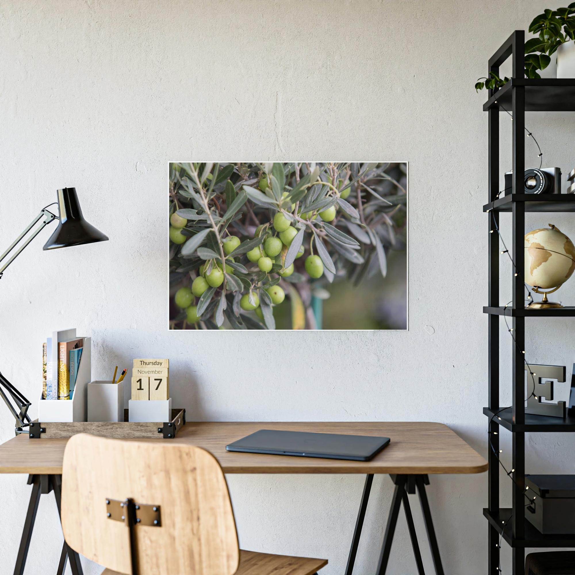 Olive Trees A Grove of Memories: A Nostalgic and Heartfelt Tribute to the Olive Trees' History