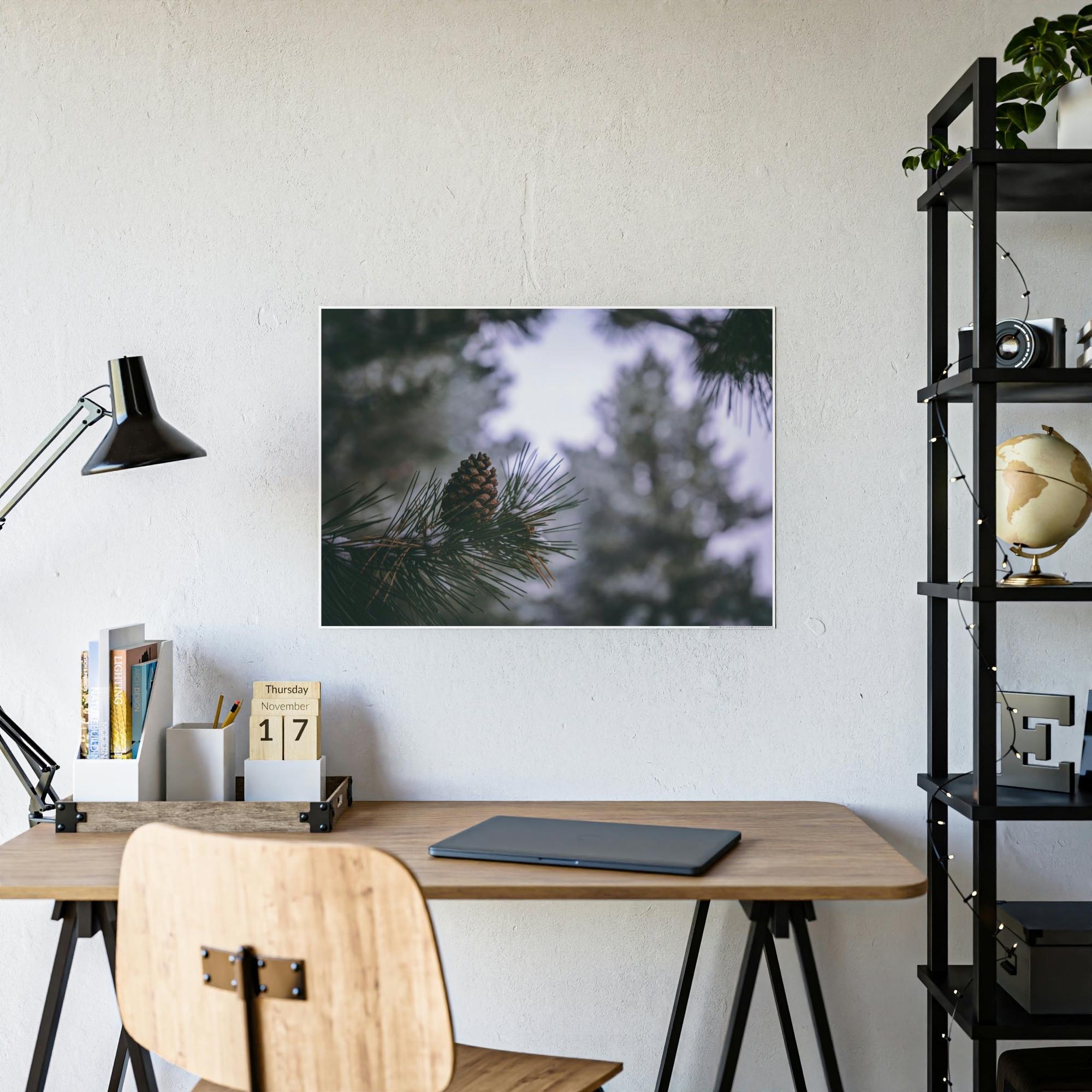 Pine Trees Pine Tree Forest: A Canvas of Verdant Growth and Wild Beauty