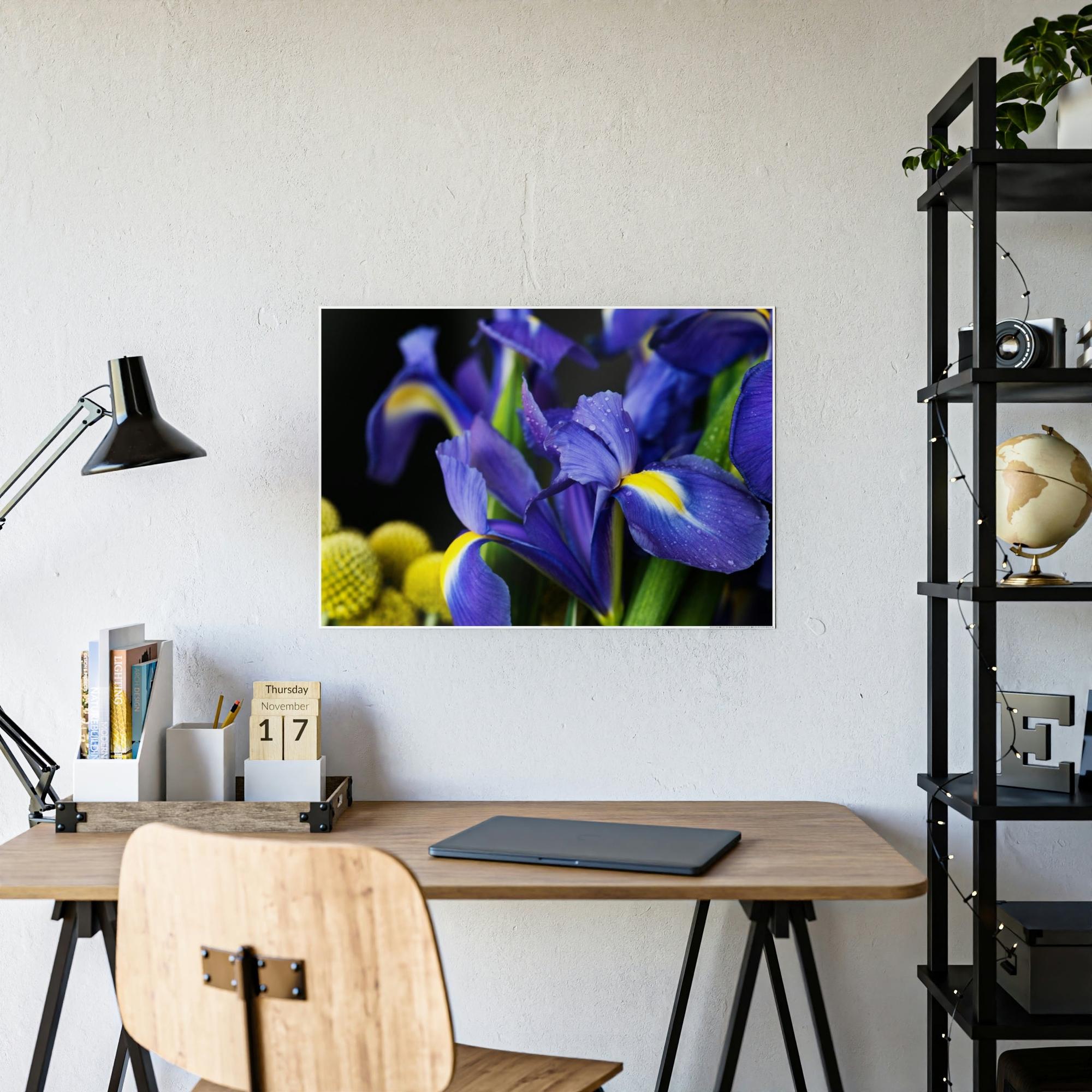 Irises Iris Dreams: A Canvas of Purple and Blue Hues