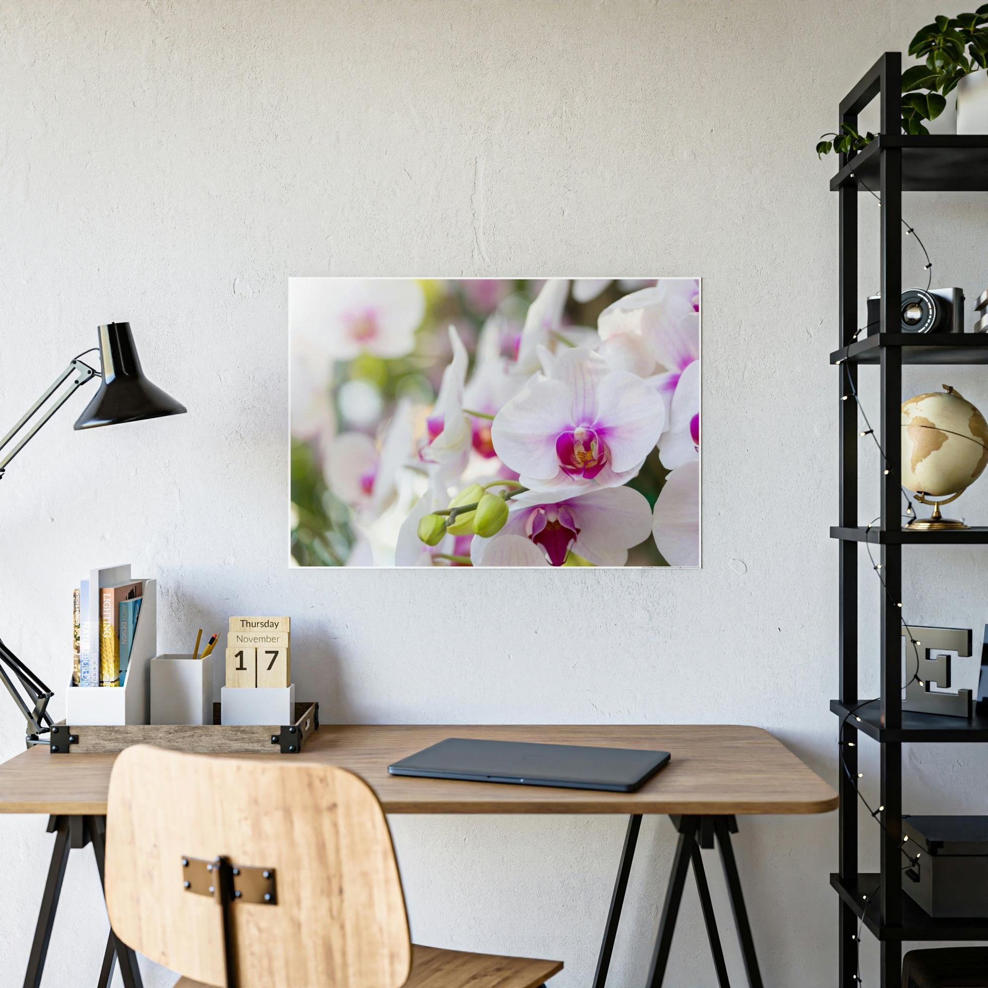 Orchids Floral Symphony: Orchids in Harmony