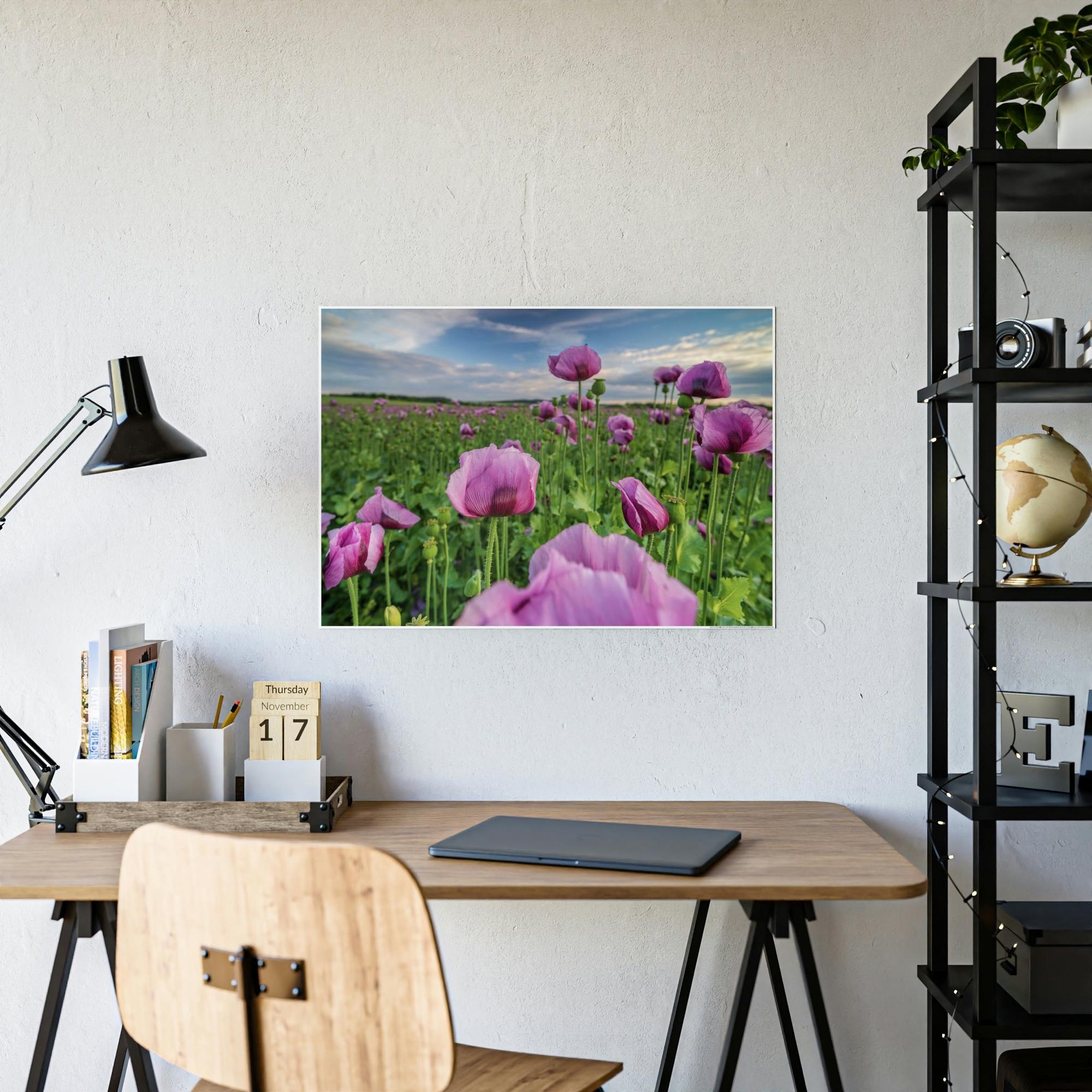 Poppies Poppy Perfection: A Painting of Poppies as a Symbol of Perfection