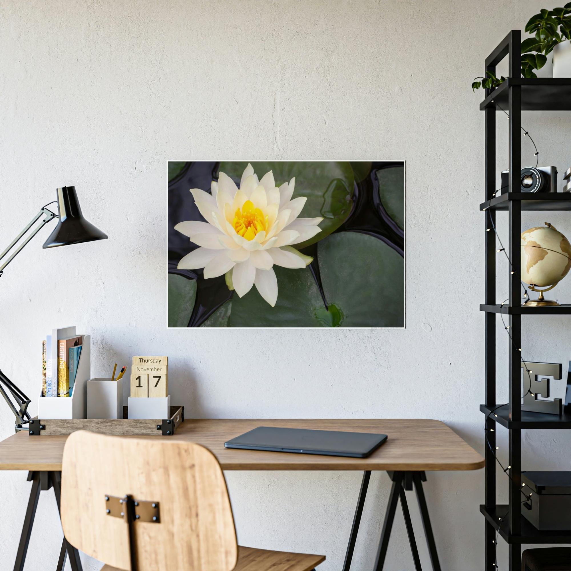 Lilies & Waterlily Lily Serenade: A Symphony of Floral Beauty