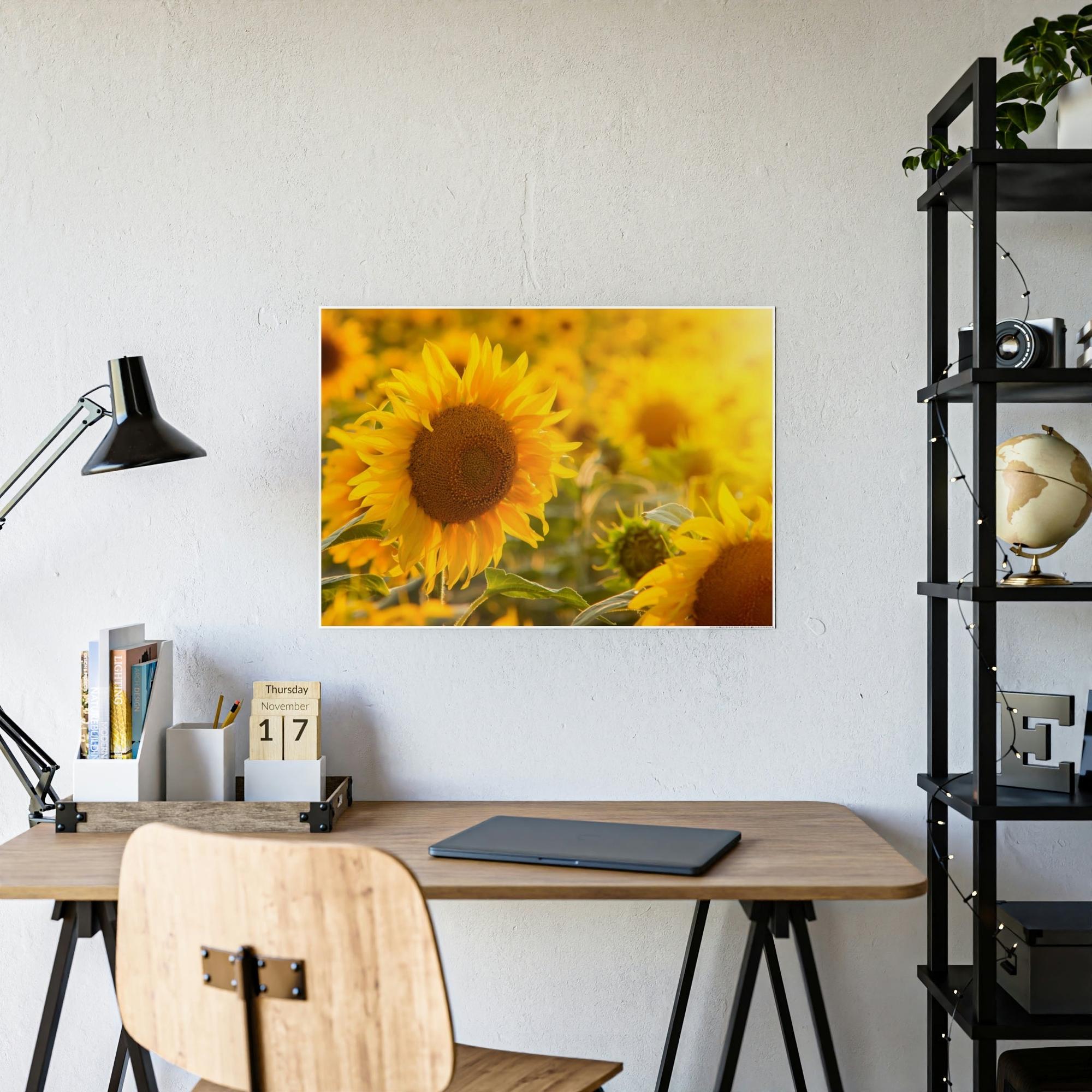 Sunflowers Golden Blooms: A Vibrant Ode to the Beauty of Sunflowers