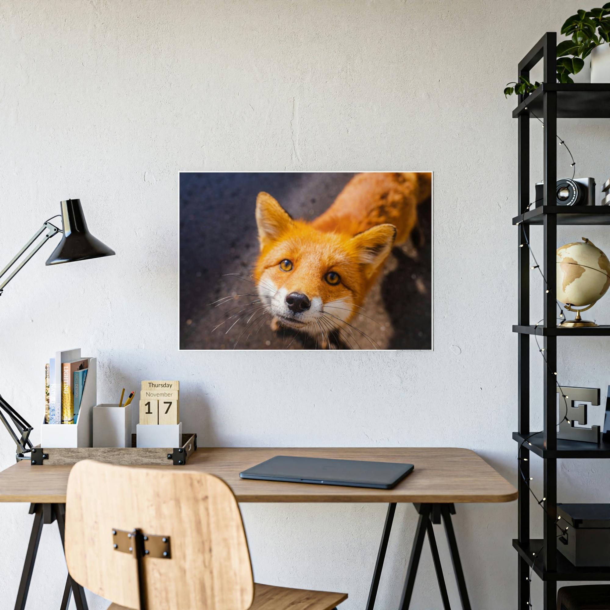 Fox The Mystic Fox: A Mysterious Enigma of the Natural World