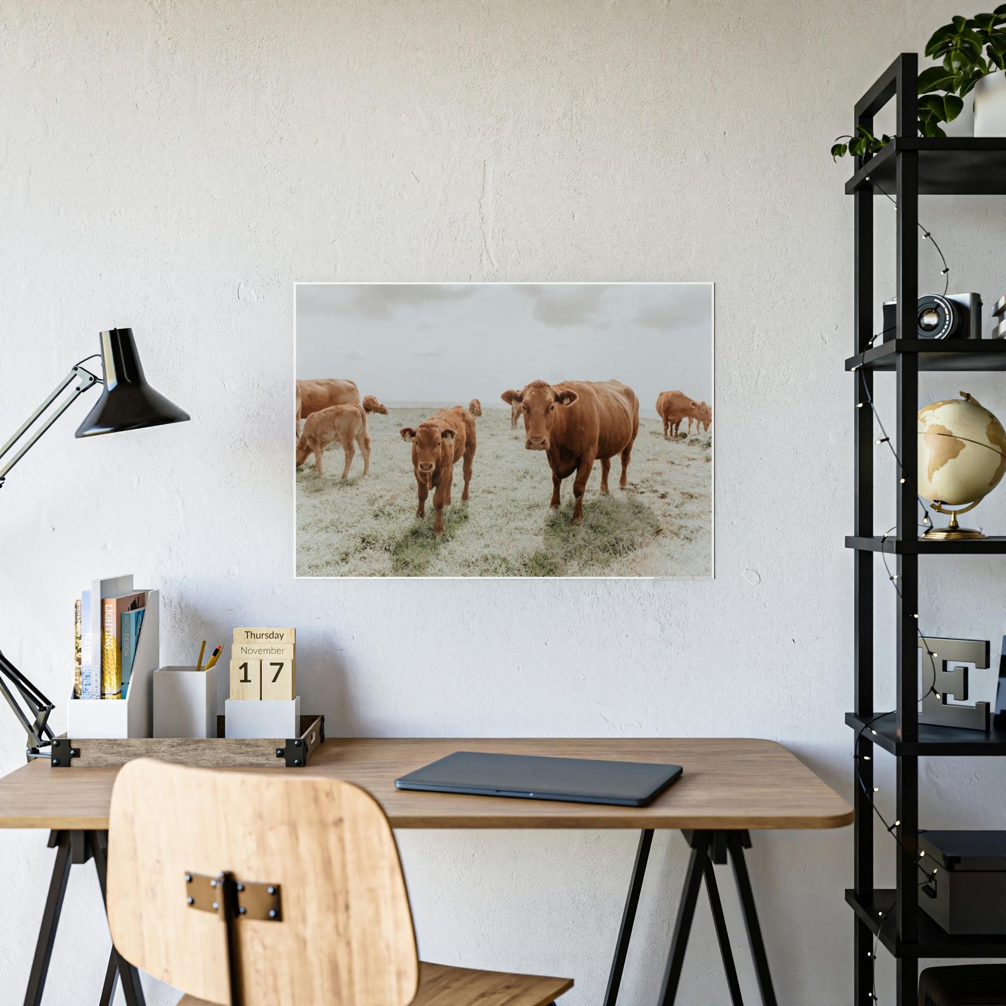 Cows Peaceful Pasture: Framed Canvas & Posters Print of Cow Grazing