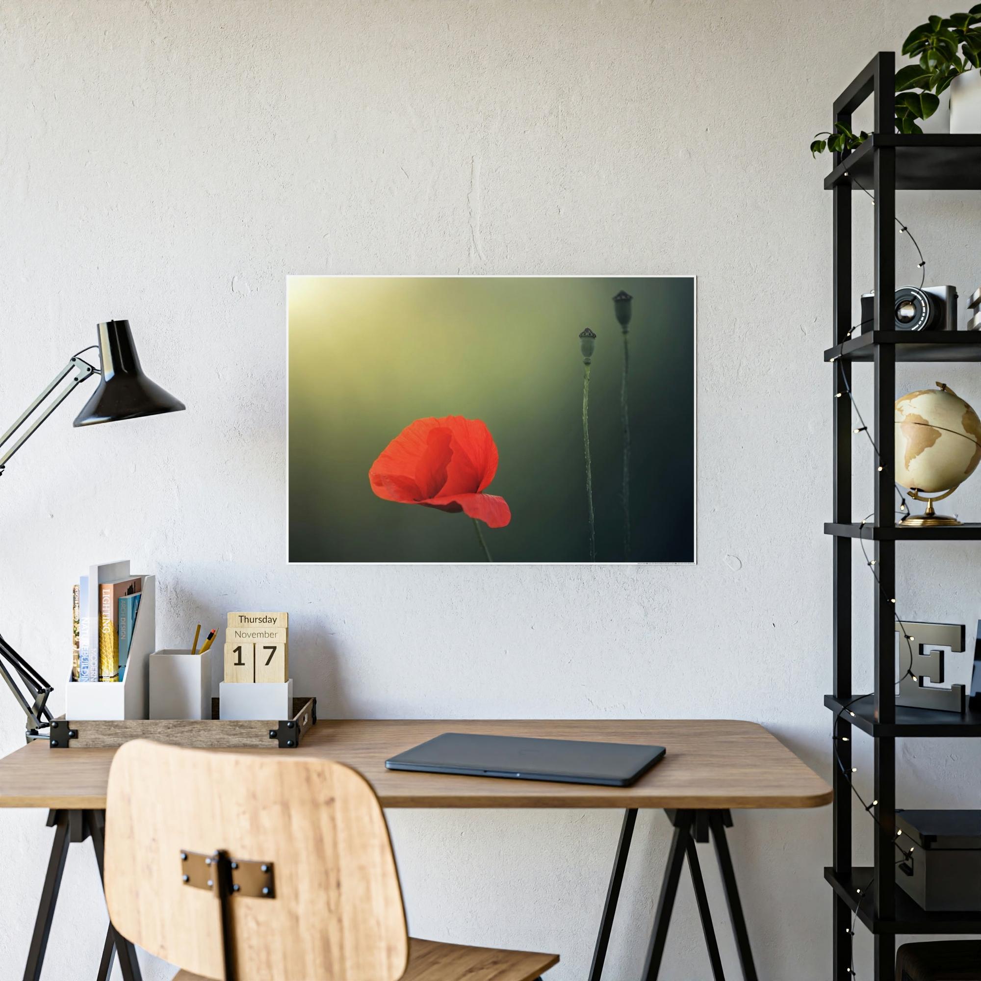 Poppies Pure and Simple: A Painting of a White Poppy as a Symbol of Purity