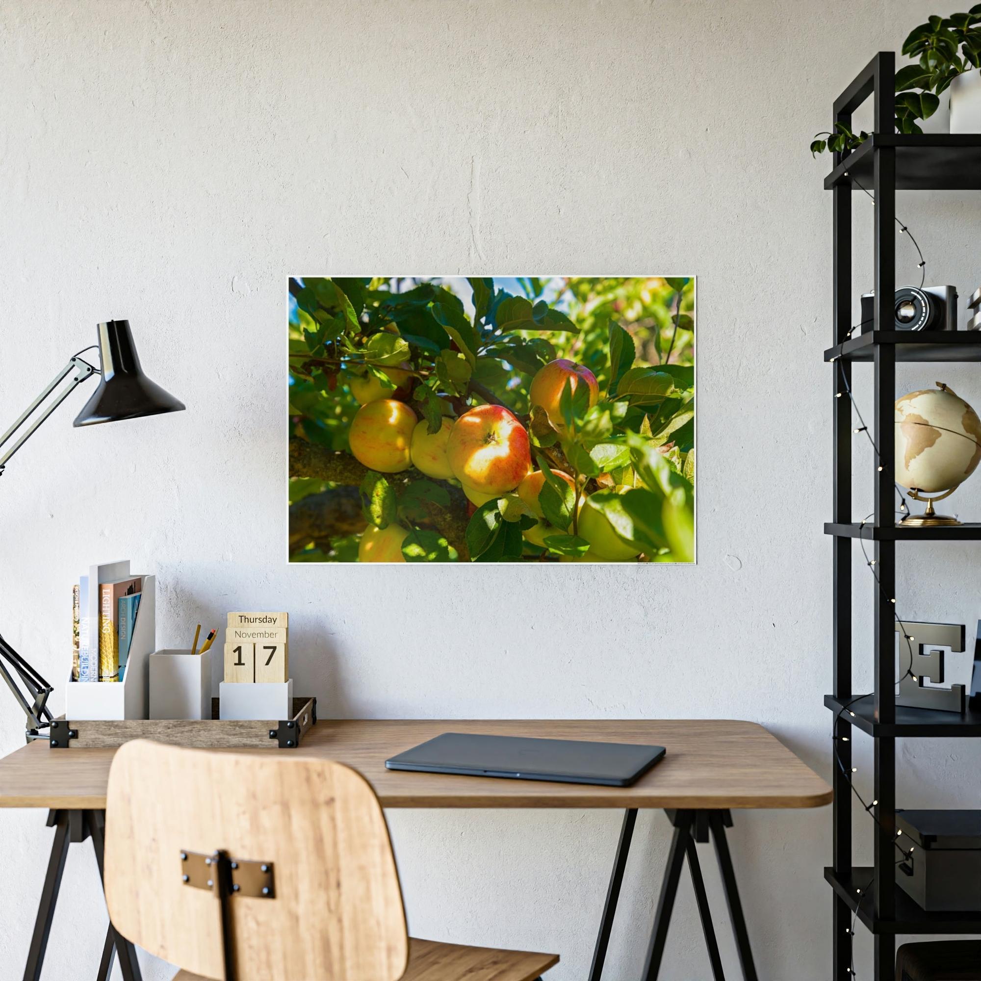 Apple Trees Serene Orchard: Framed Canvas & Poster of Apple Trees on a Sunny Day