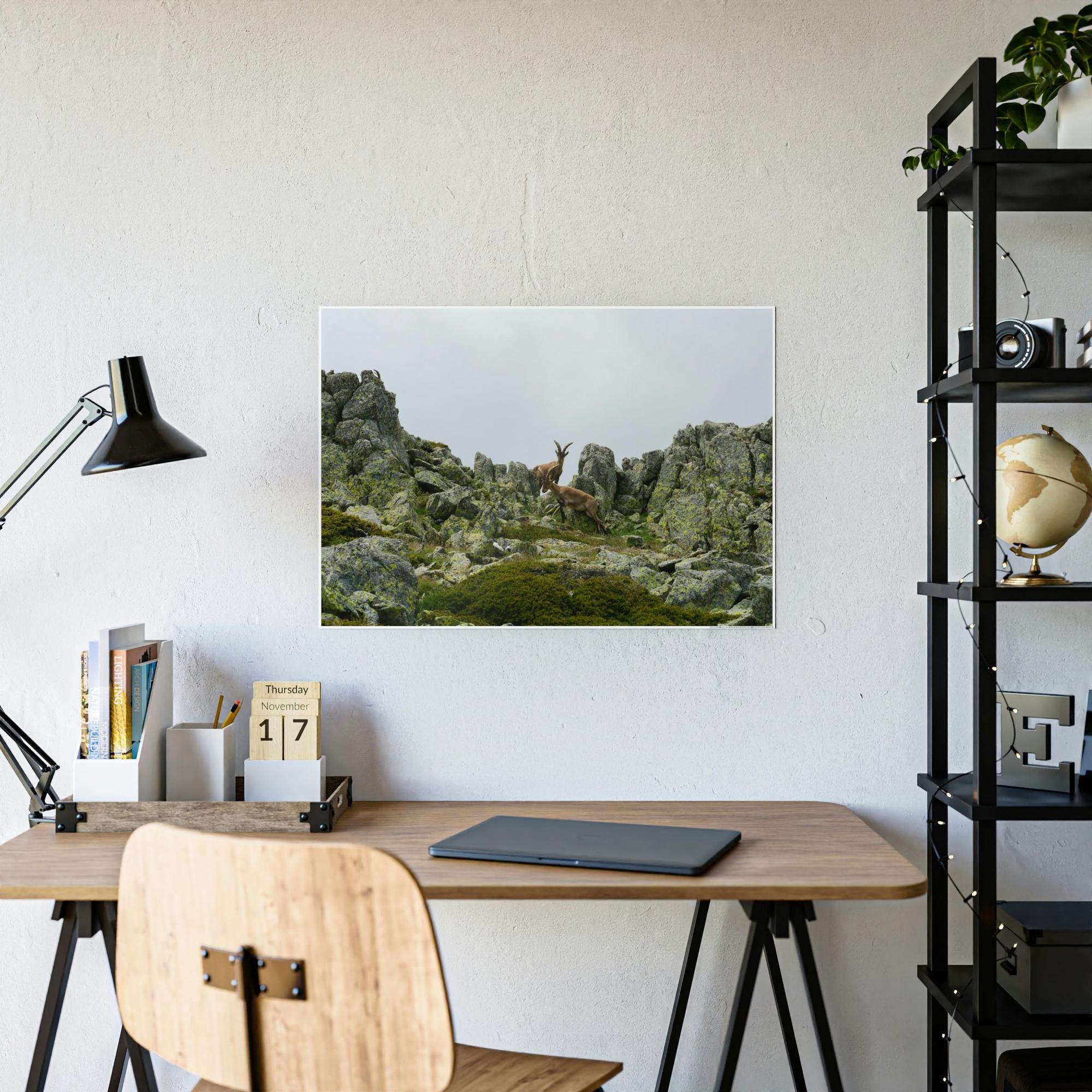 National Parks Natural Beauty: National Parks Canvas Art