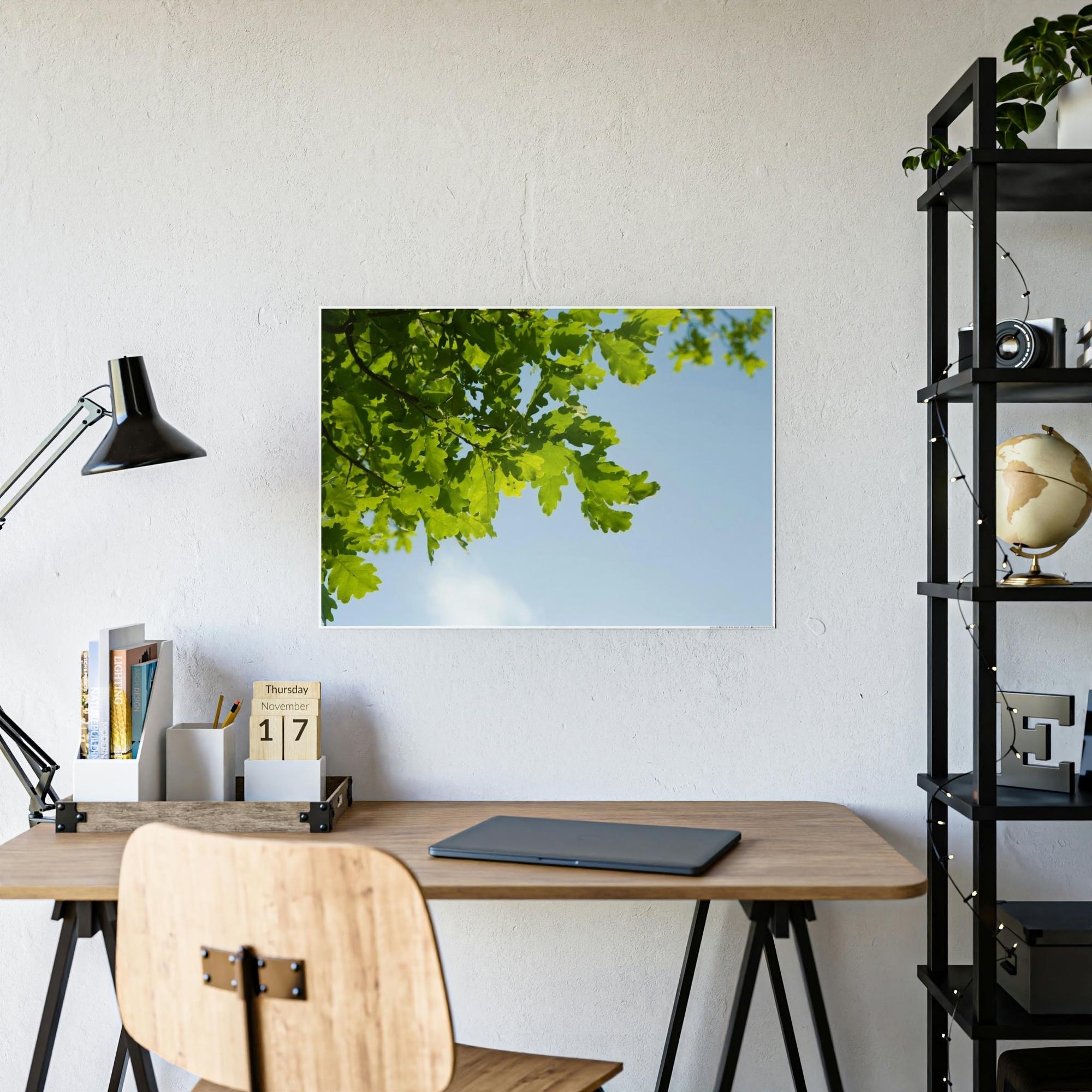 Oak Trees Oak Trees' Radiance: A Luminous Vision of the Forest's Brilliance