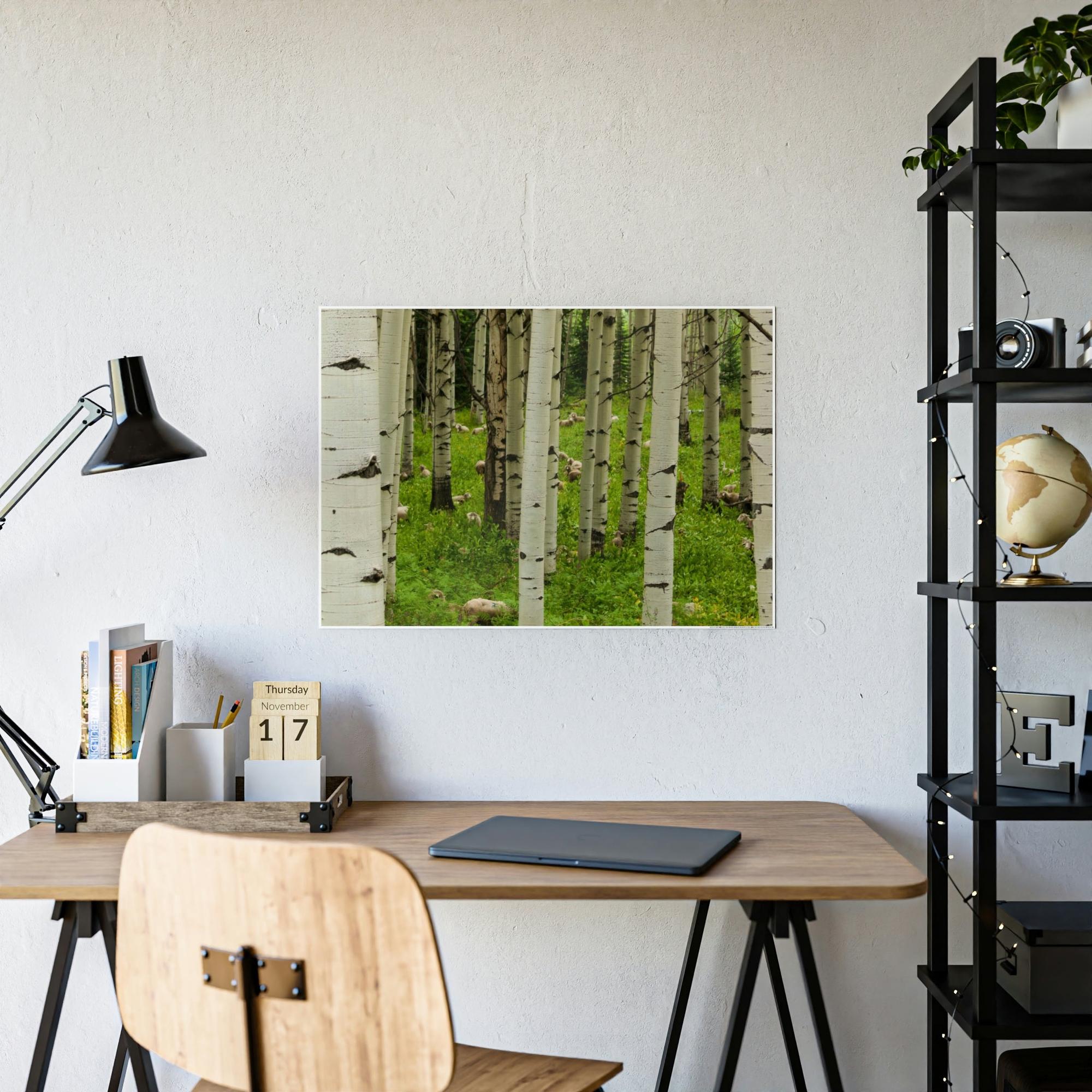 Birch Trees Silent Forest: Framed Poster of Birch Trees with a Tranquil Atmosphere