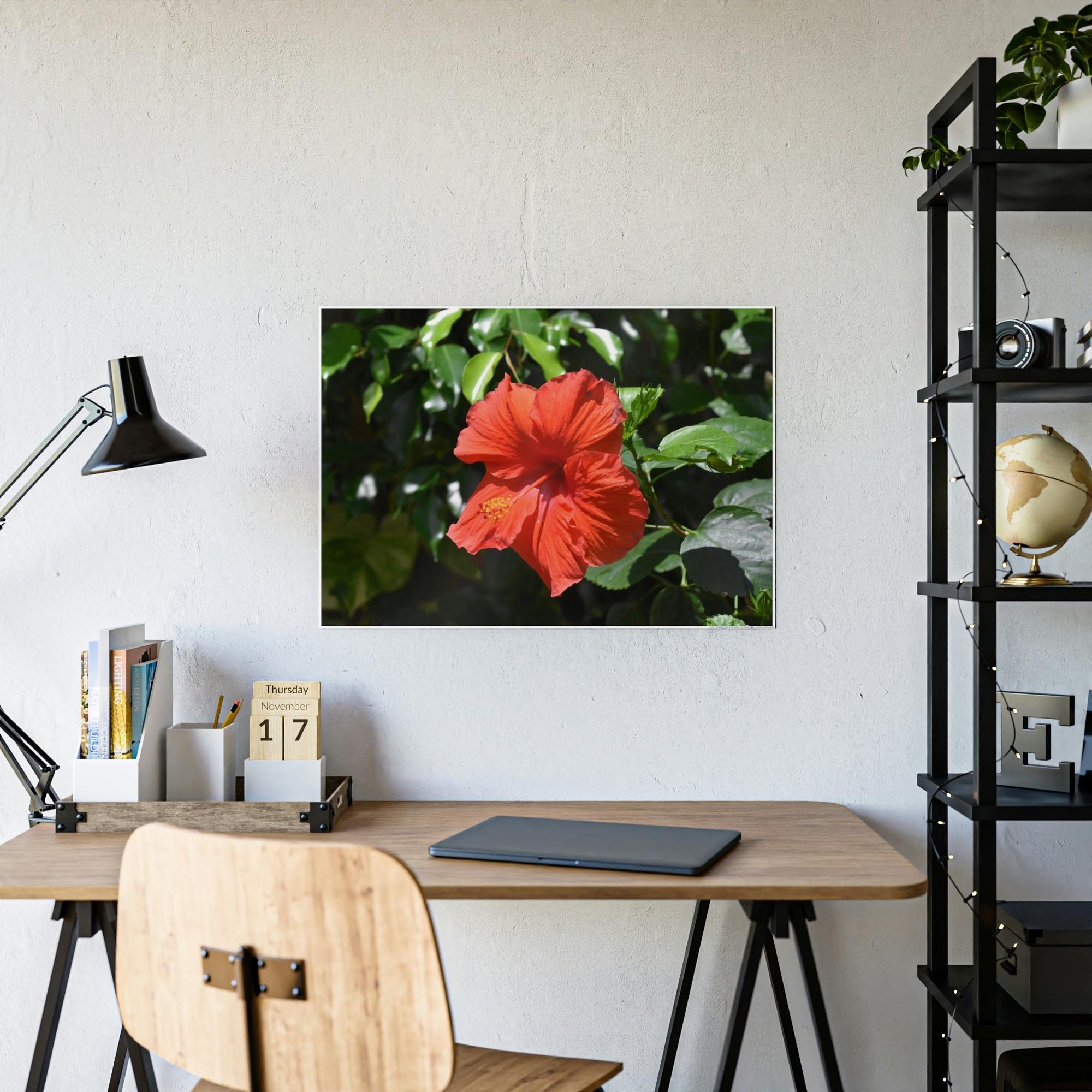 Hibiscuses The Charismatic Hibiscuses: A Vivid Showcase of Nature's Grace and Elegance
