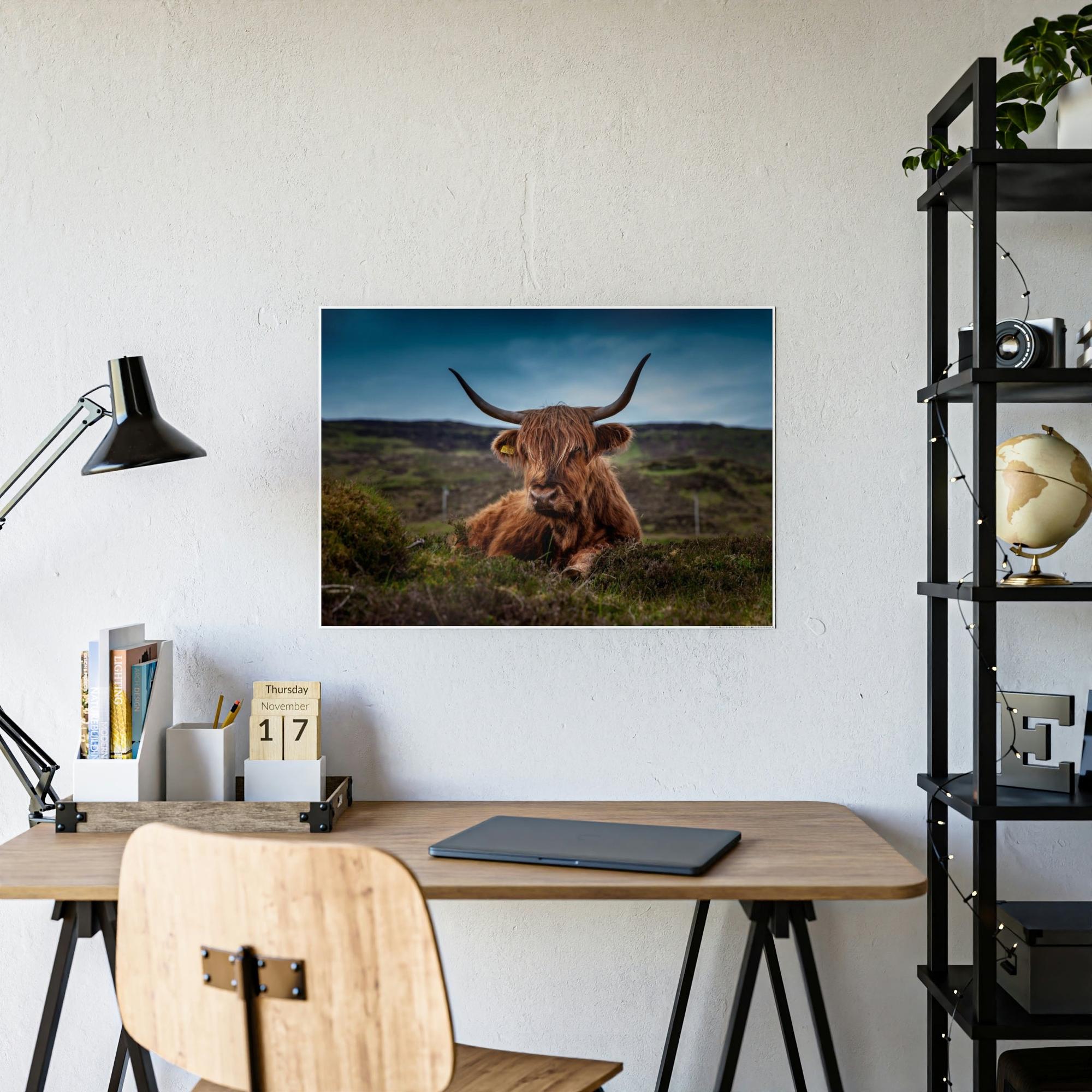 Highland Cow Scottish Longhorn Cattle - Canvas Art | Animals Art
